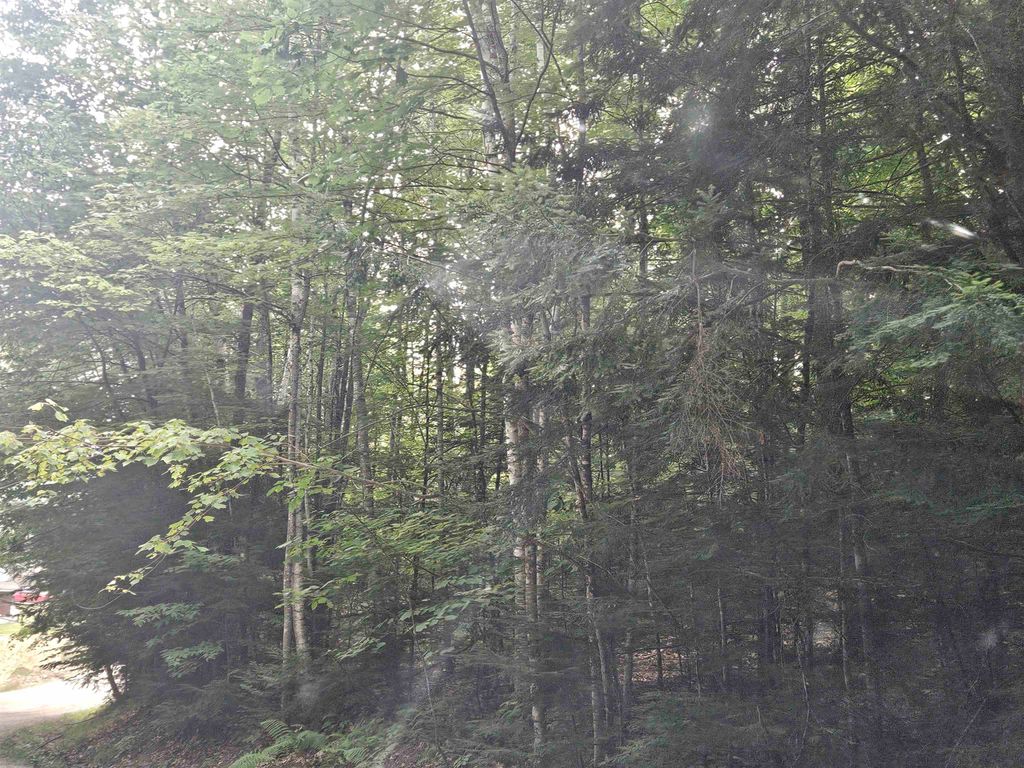 Photo of 254 Kearsage Drive, Haverhill, NH 03765 (MLS # 5085163)