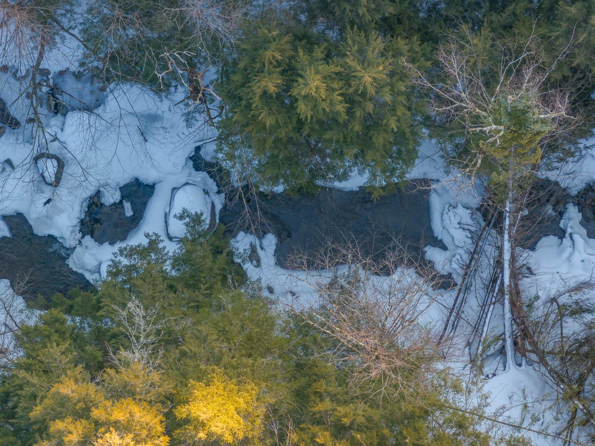 Wolcott, Vermont 05680, United States, ,Land,Active,63280