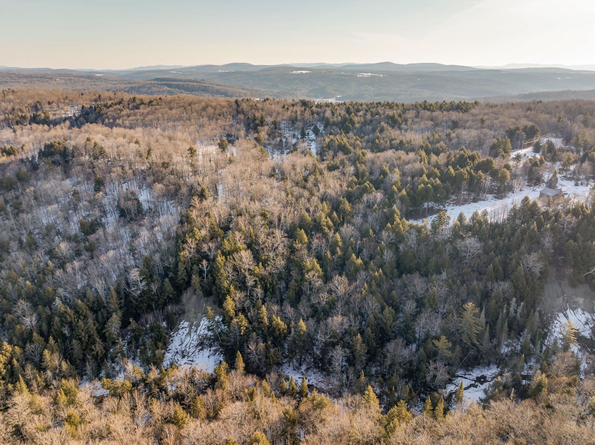 Wolcott, Vermont 05680, United States, ,Land,Active,63280