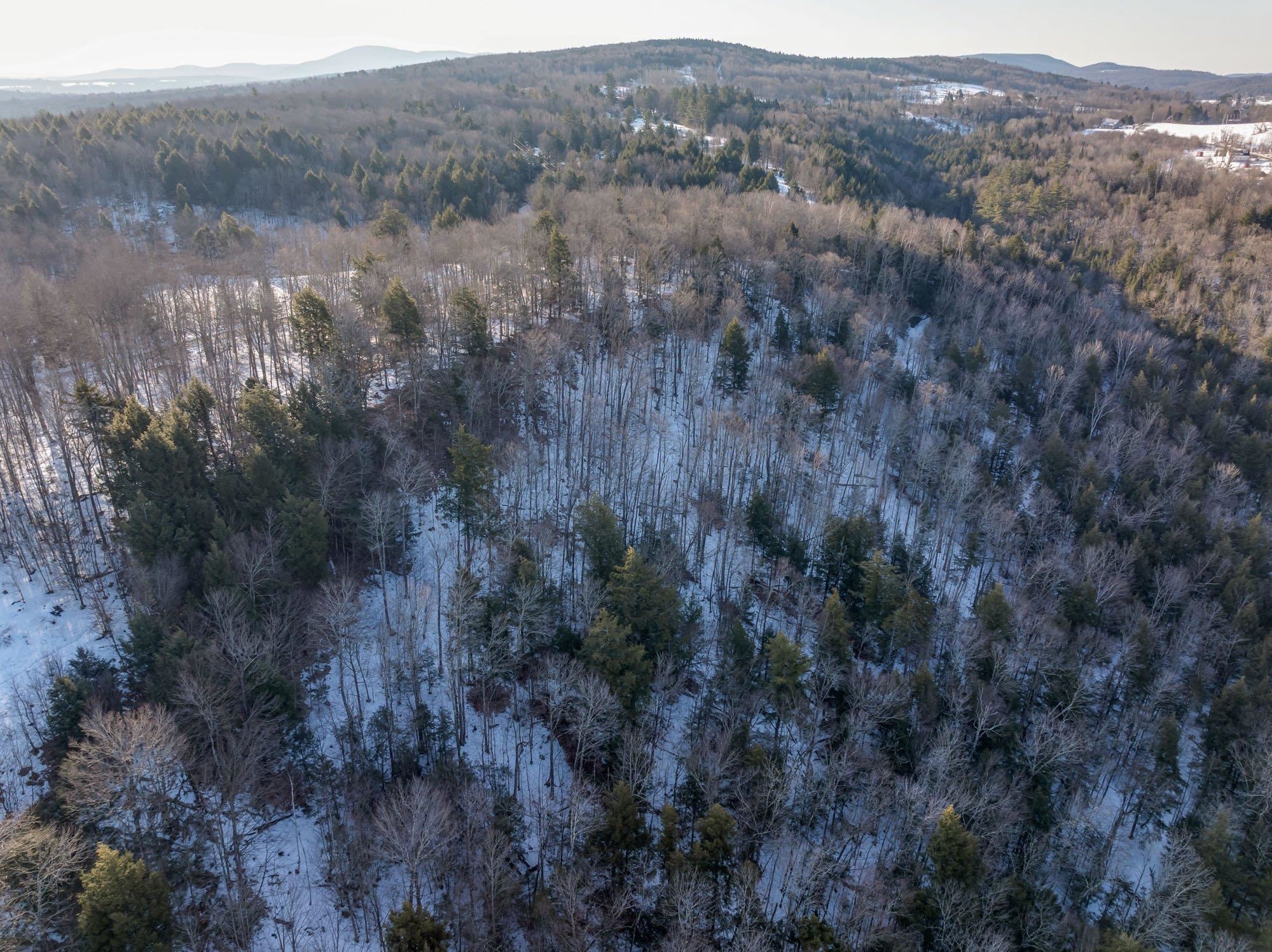 Wolcott, Vermont 05680, United States, ,Land,Active,63280