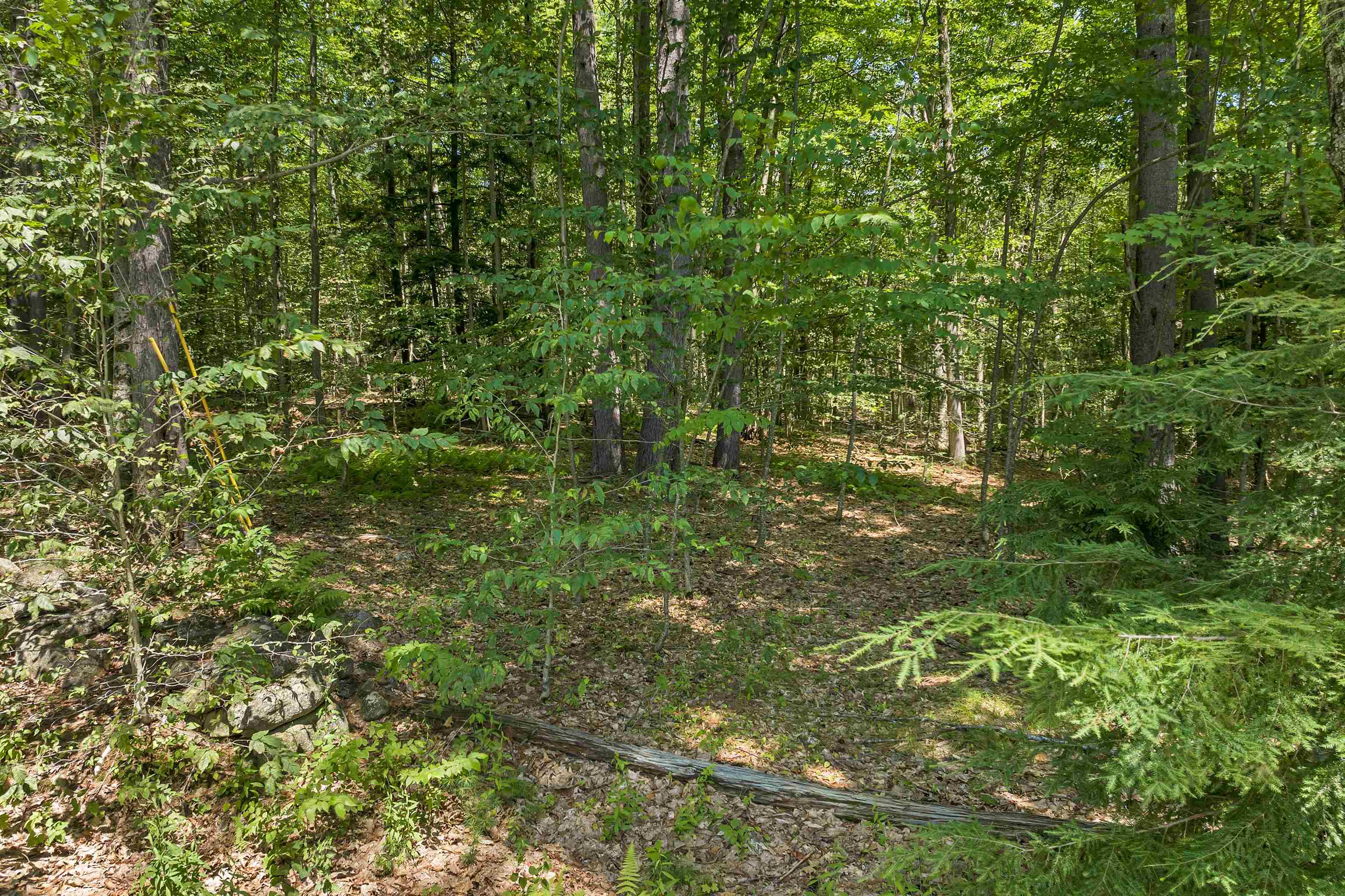 Weare, New Hampshire 03281, United States, ,Land,Active,181302