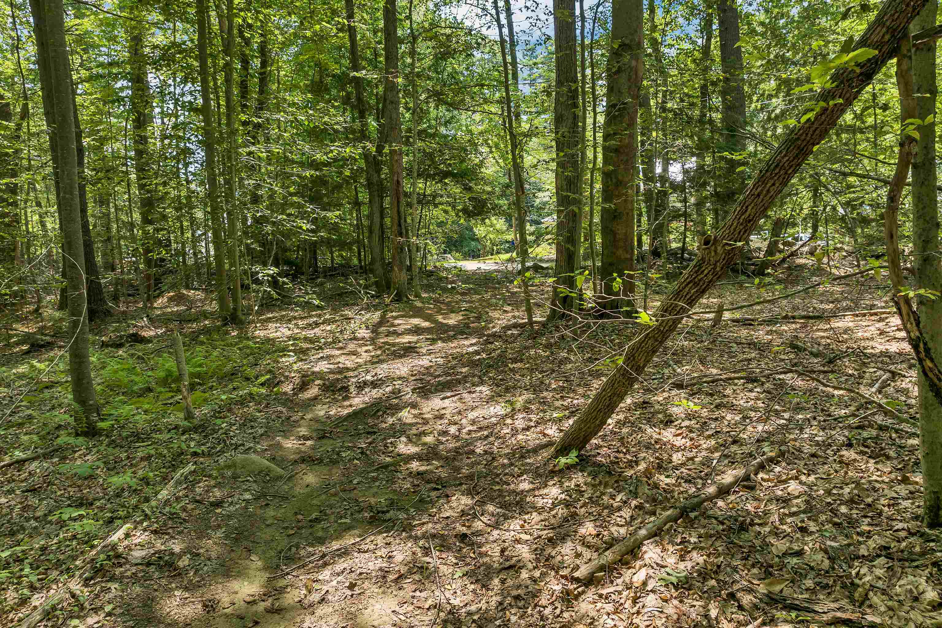 Weare, New Hampshire 03281, United States, ,Land,Active,181302