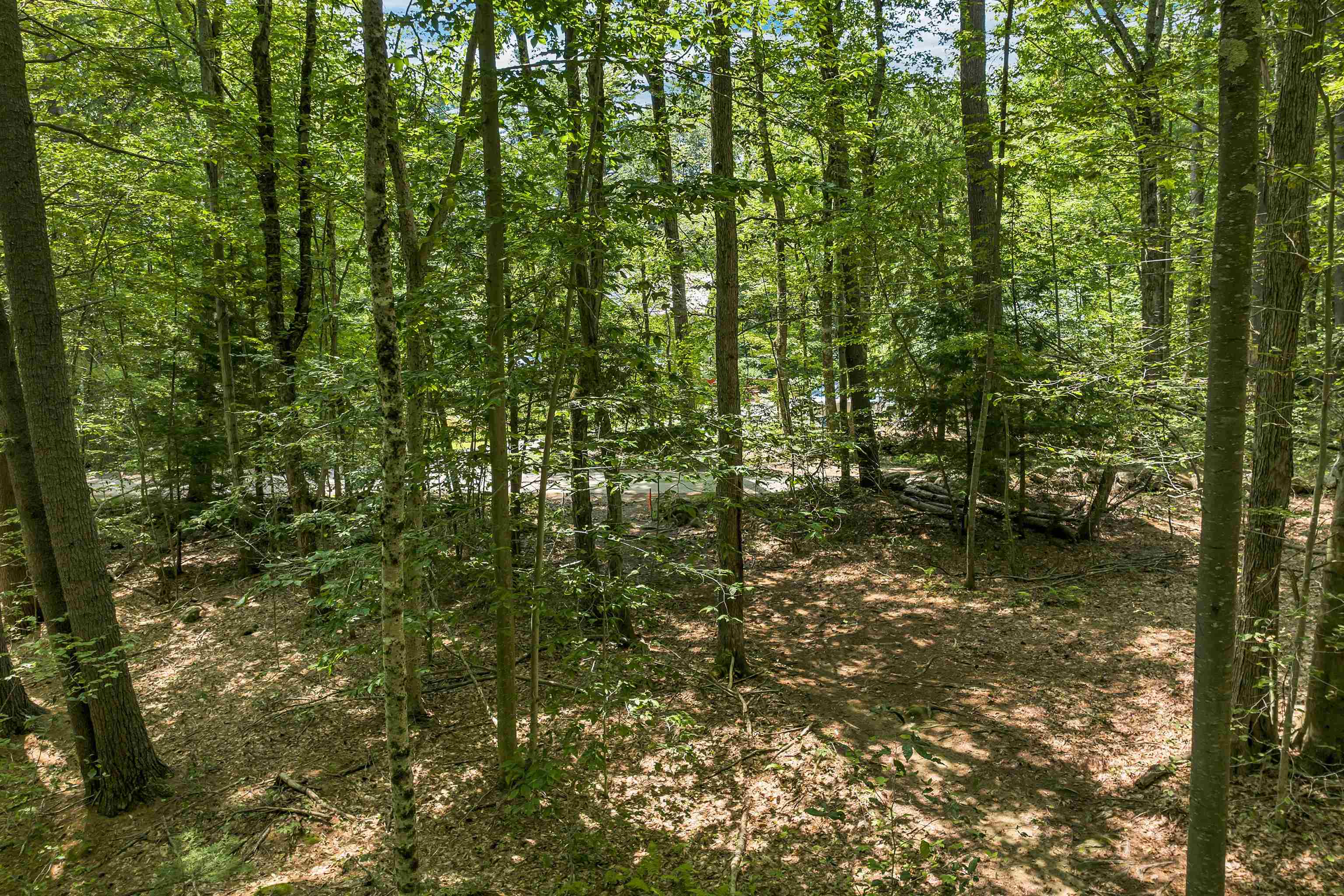 Weare, New Hampshire 03281, United States, ,Land,Active,181302