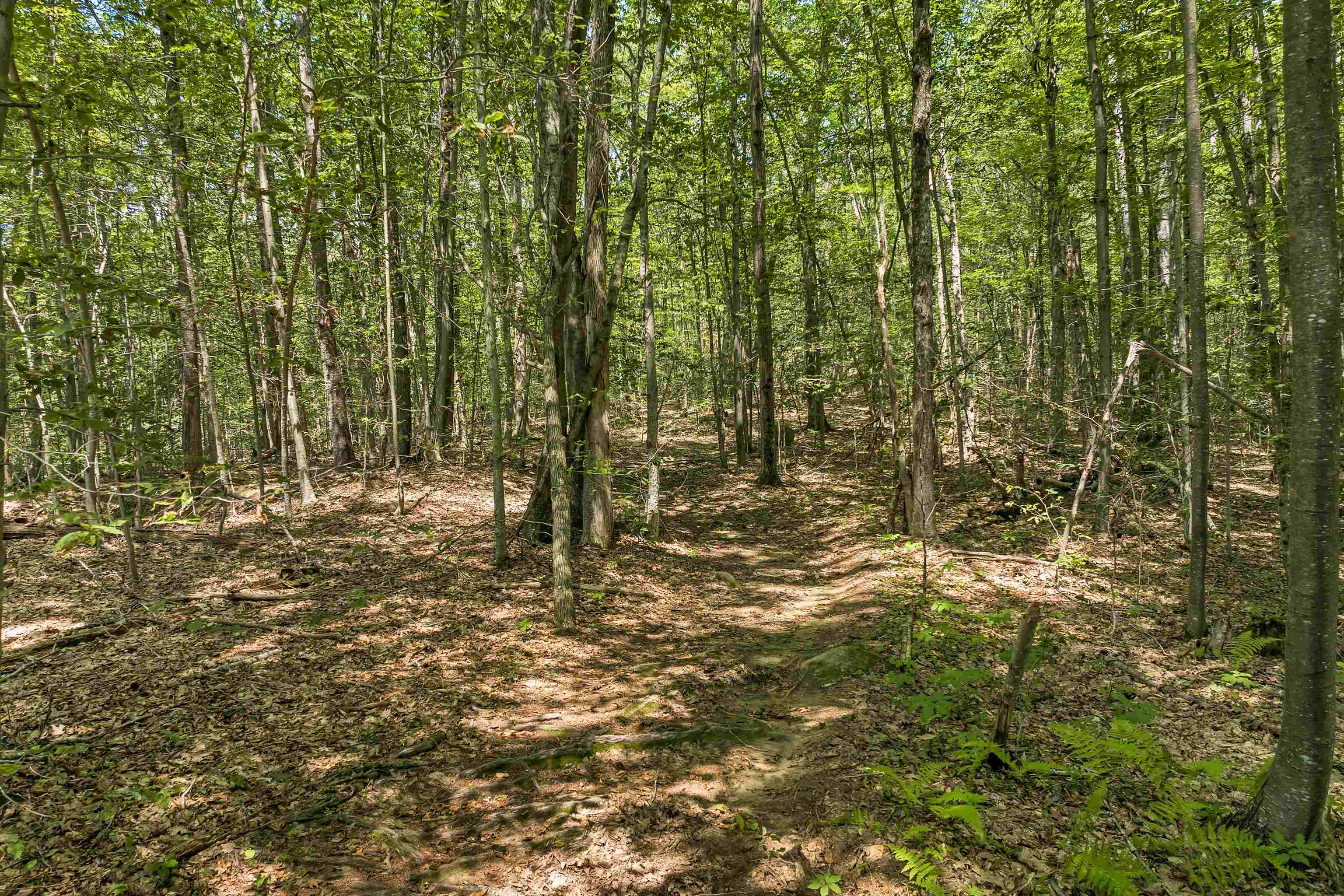 Weare, New Hampshire 03281, United States, ,Land,Active,181302