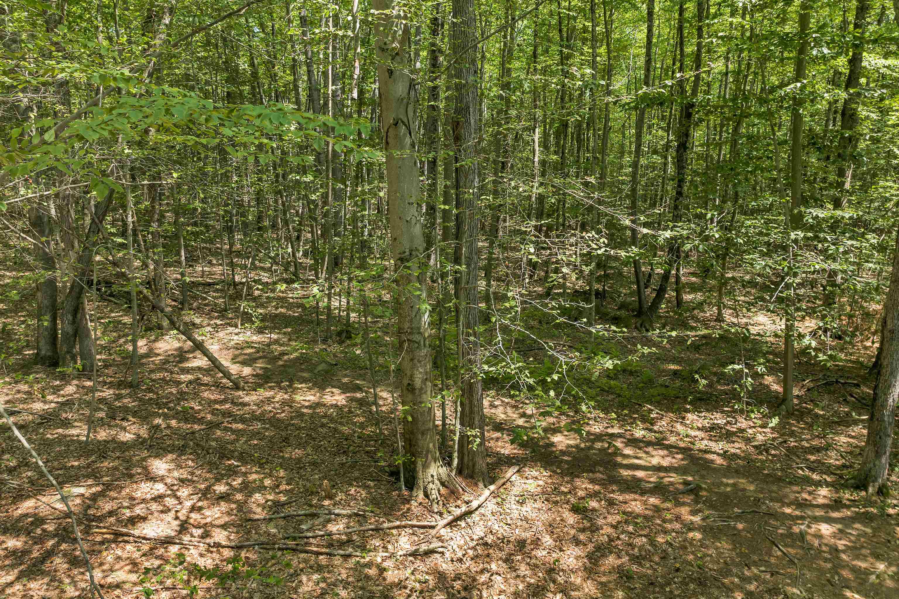 Weare, New Hampshire 03281, United States, ,Land,Active,181302