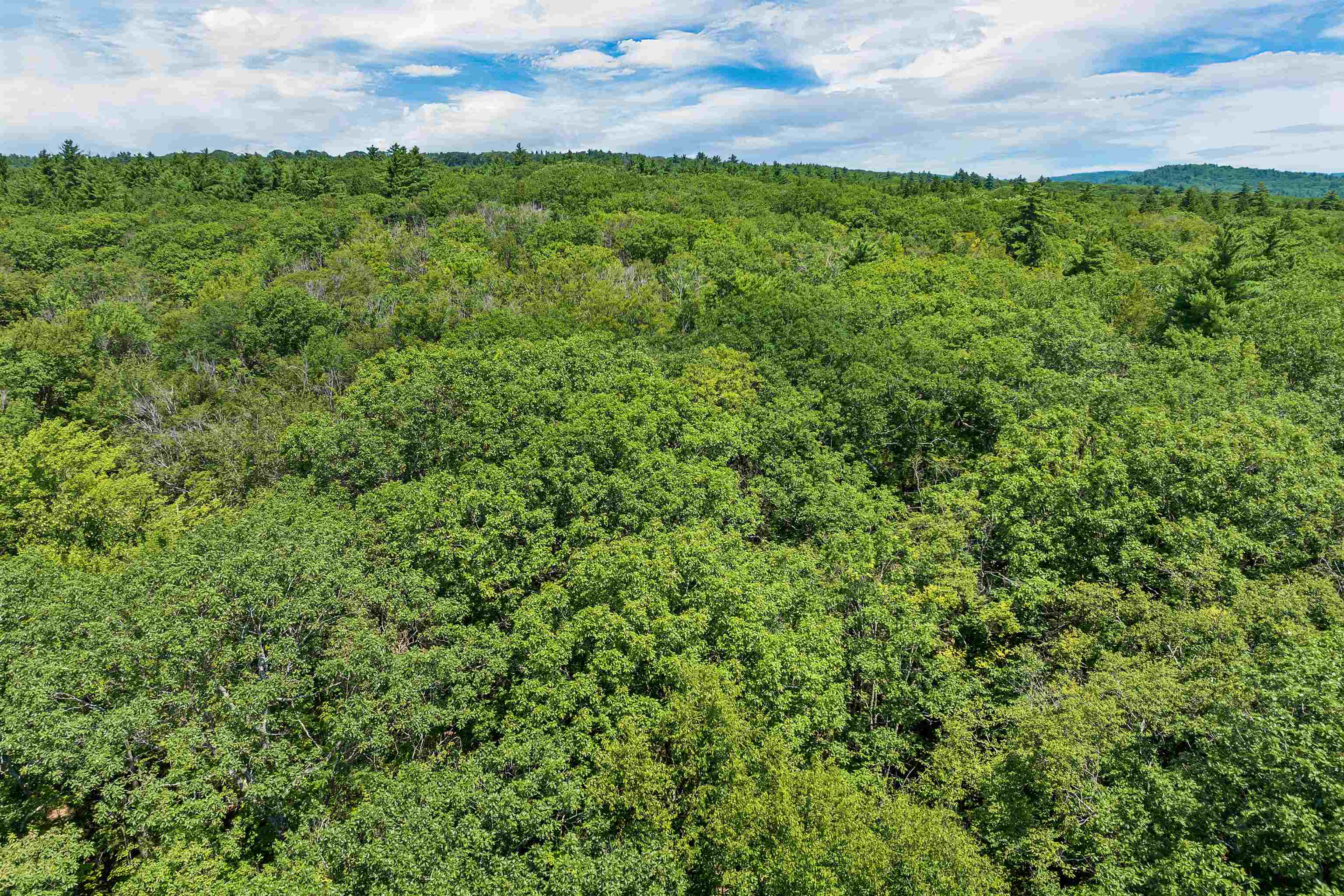 Weare, New Hampshire 03281, United States, ,Land,Active,181302