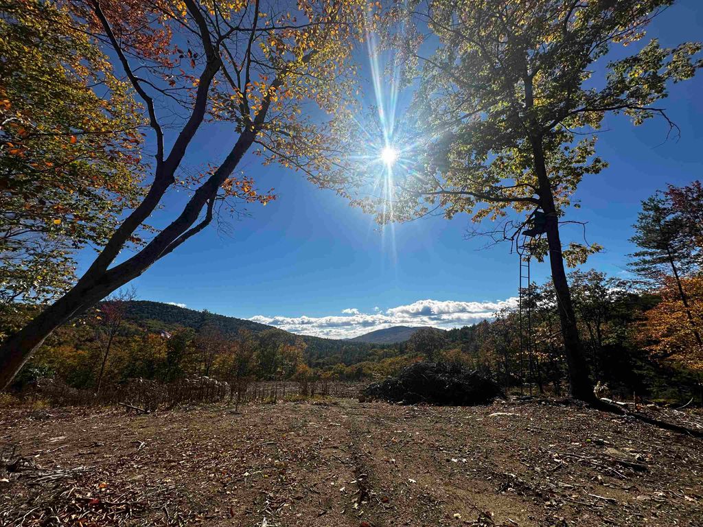 Photo of 262 Scarboro Road, Freedom, NH 03836 (MLS # 5077501)