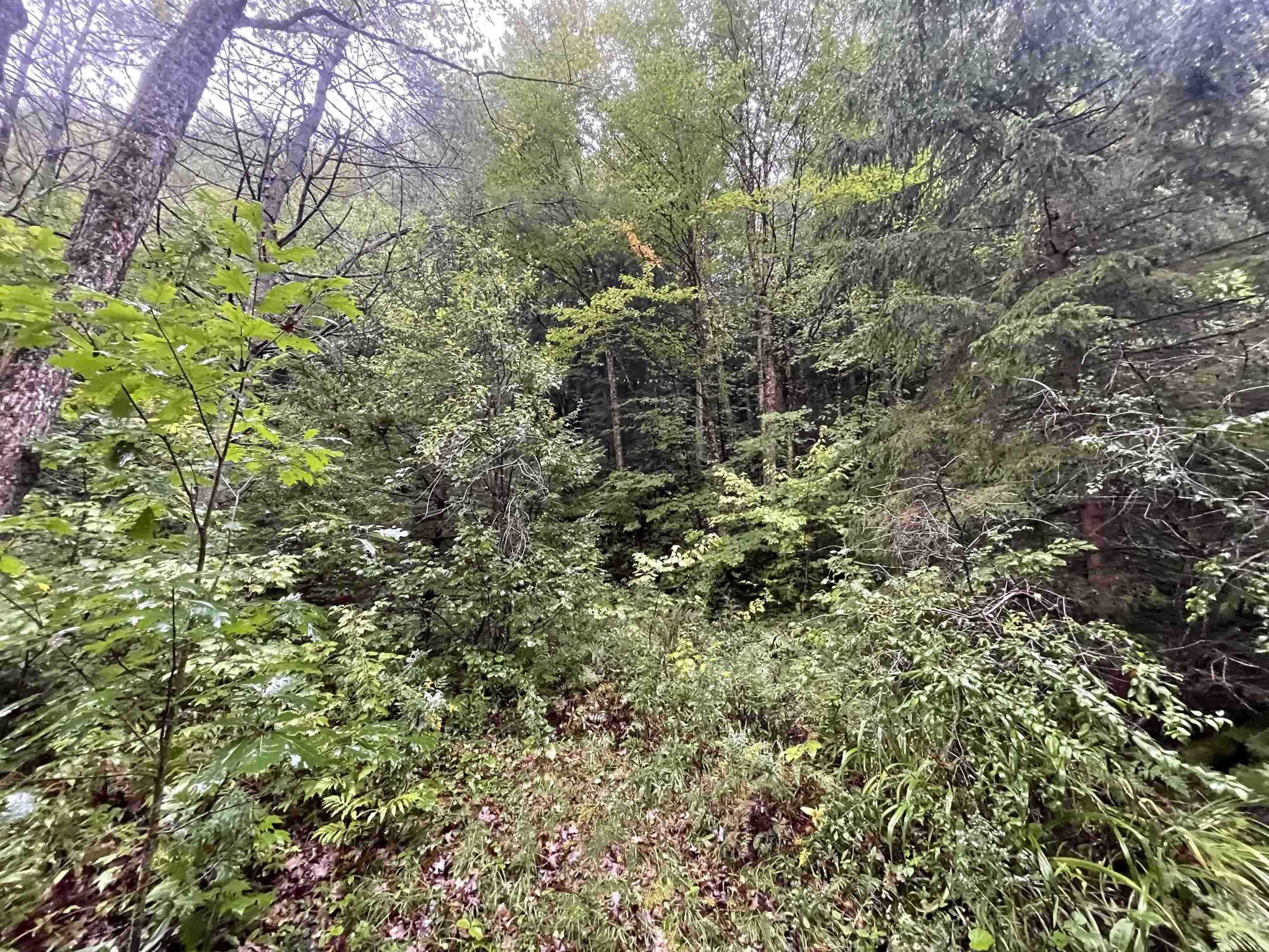 667 Hinkley Brook Road