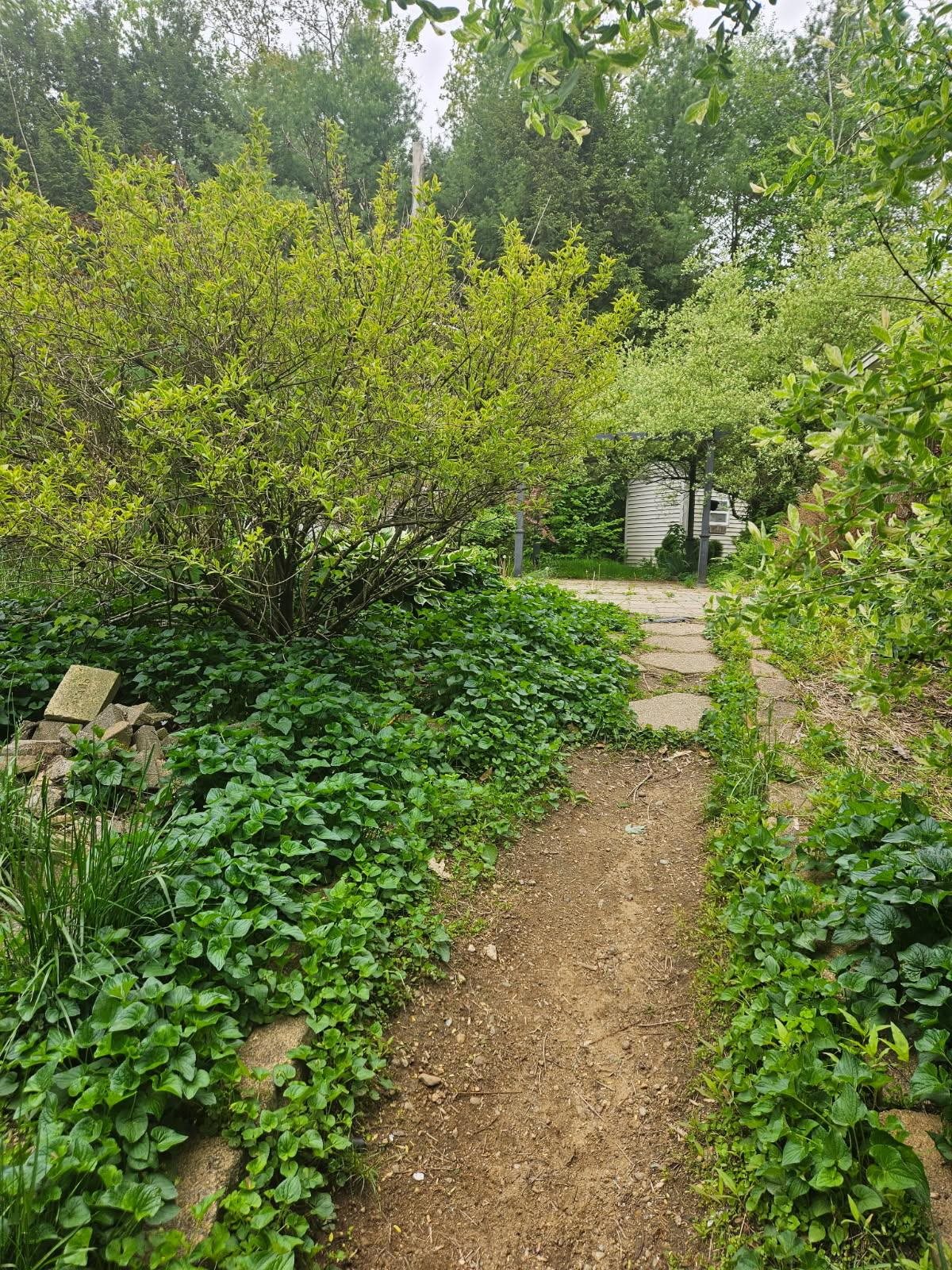 18 Prospect Road