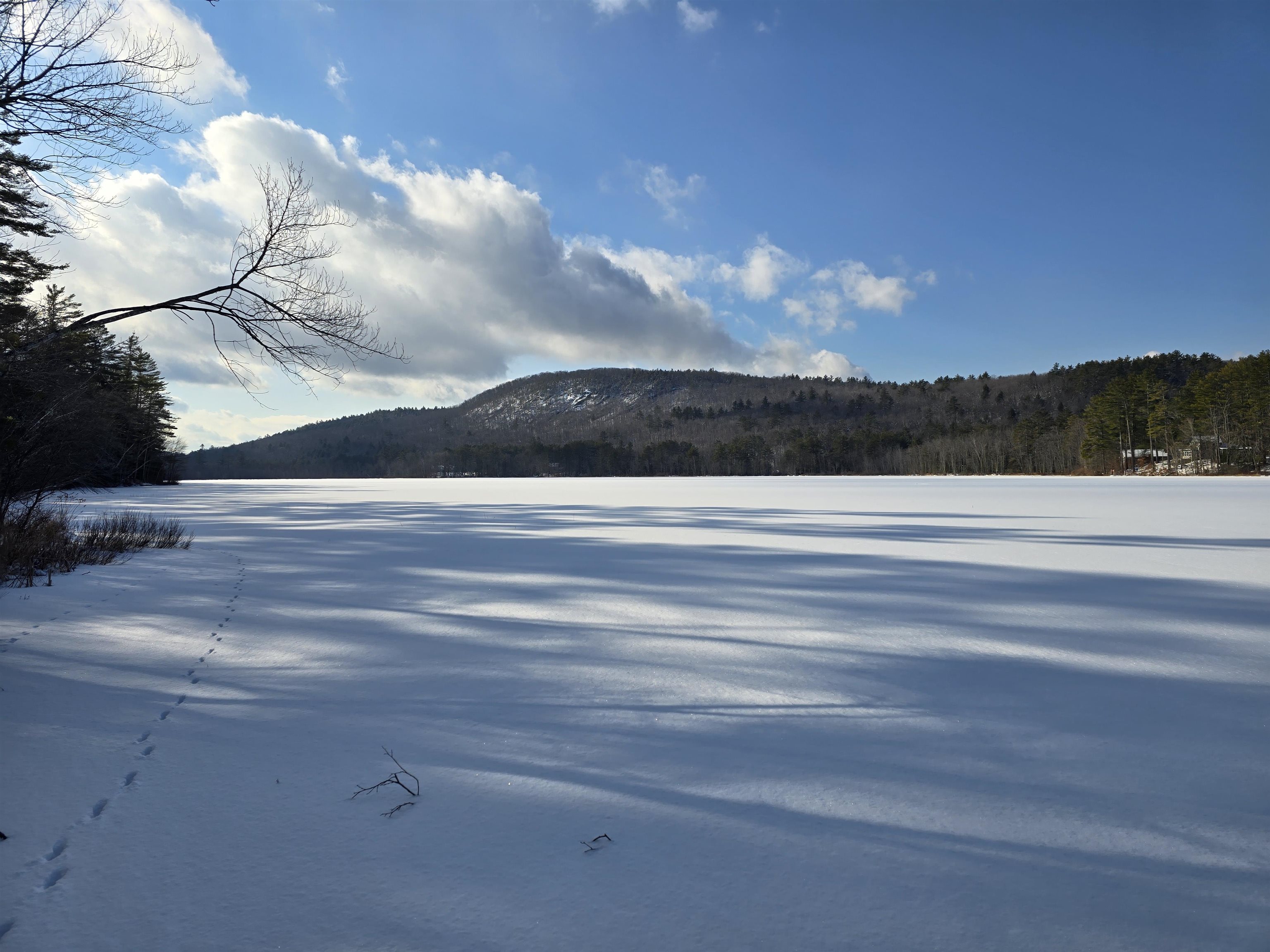 TBD Stocker Pond Road 236-43