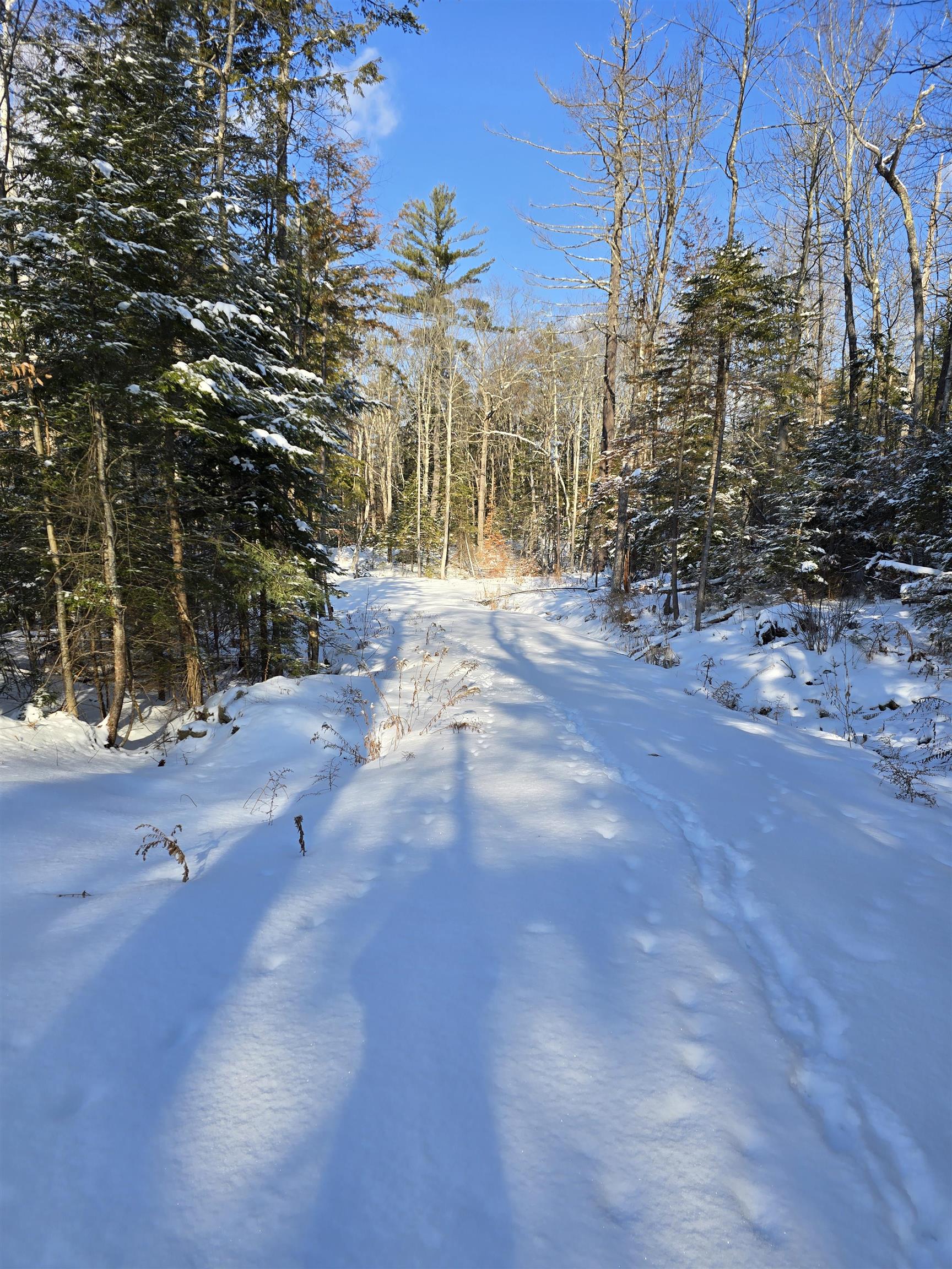 TBD Stocker Pond Road 236-43