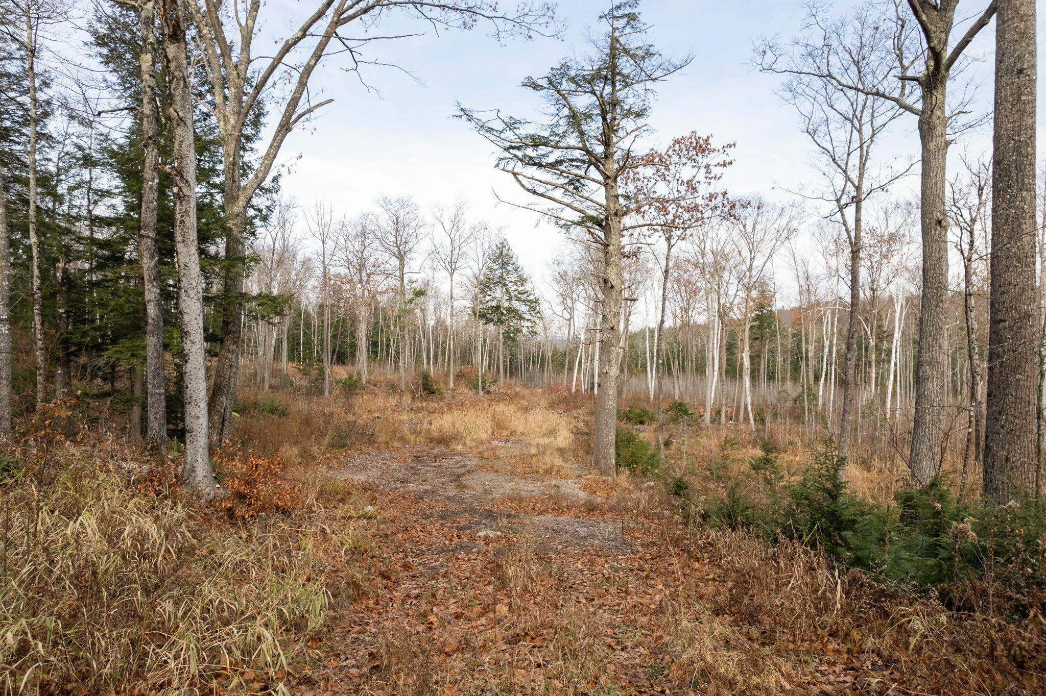 Canaan, New Hampshire 03741, United States, ,Land,Active,243706