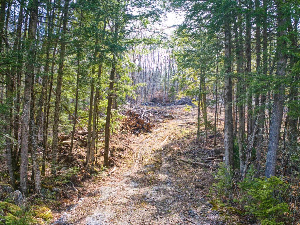 Photo of 0 Hominy Pot Road, Sutton, NH 03221 (MLS # 5084653)