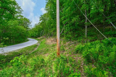 0 East Ash Road Plymouth VT 05056