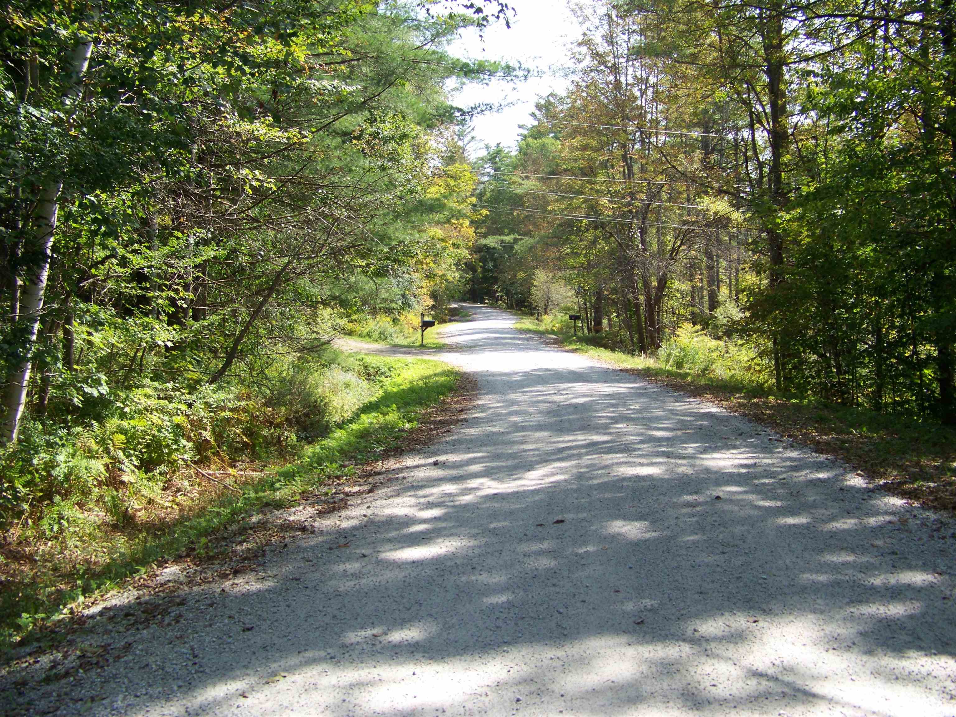 111 Forest Lane