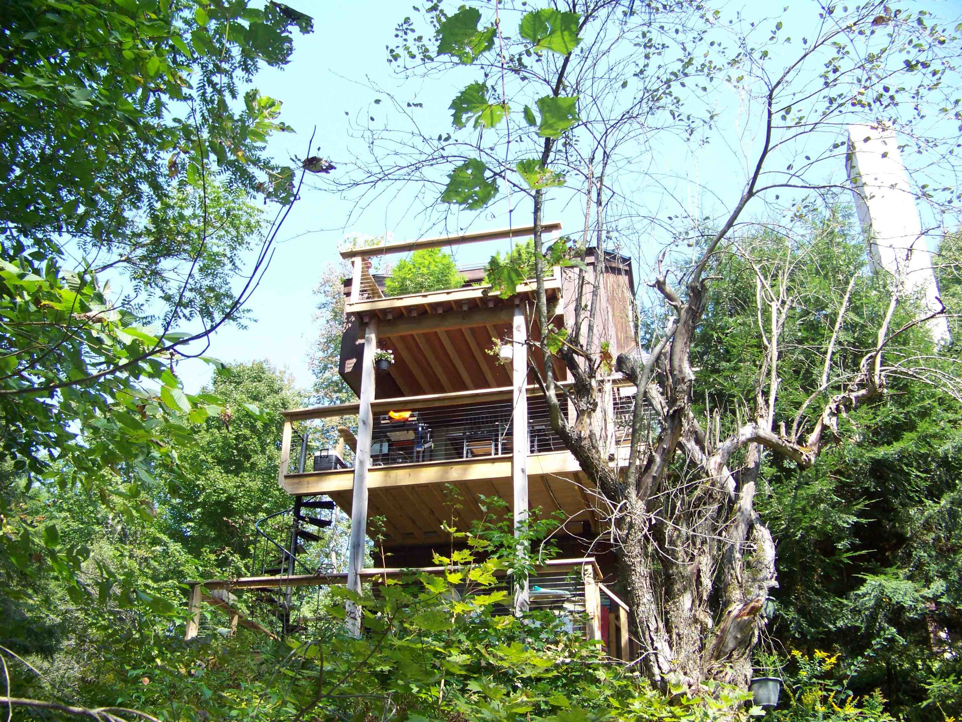 111 Forest Lane