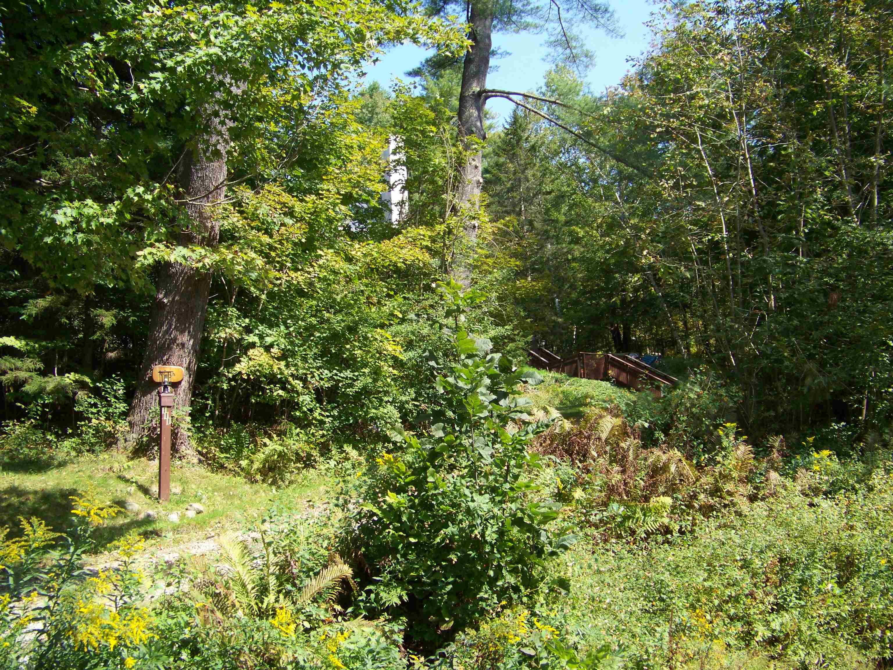 111 Forest Lane