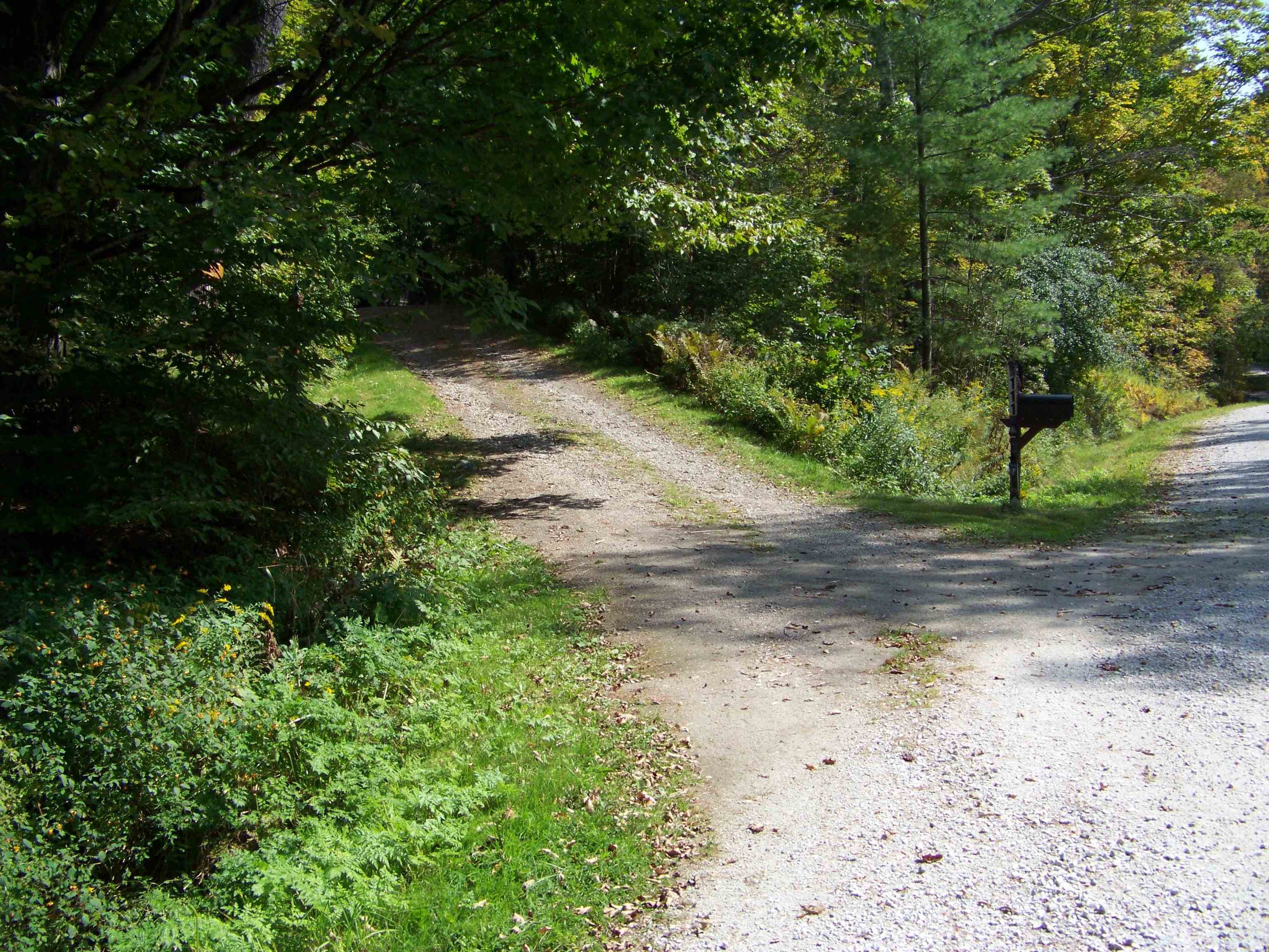 111 Forest Lane