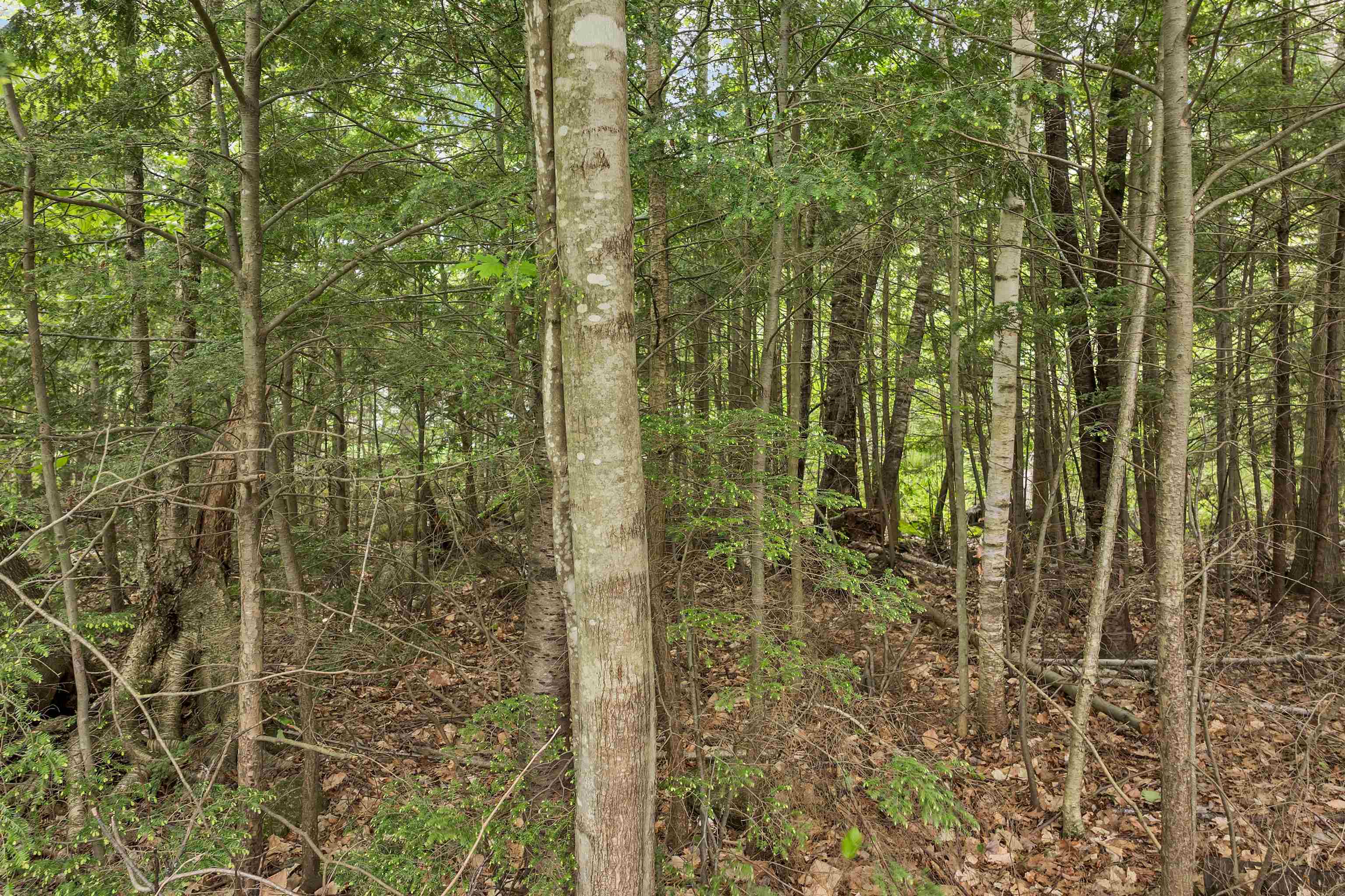 22 Race Point Road Map 244 Block 295 Lot 9