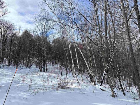 0 Stratton Gardens Road Lot #23 Winhall VT 05340