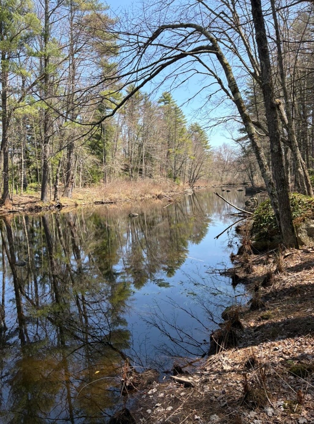 Deerfield, New Hampshire 03037, United States, ,Land,Active,197280