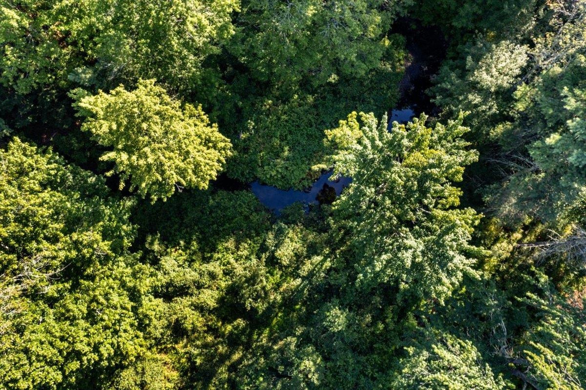 Deerfield, New Hampshire 03037, United States, ,Land,Active,197280