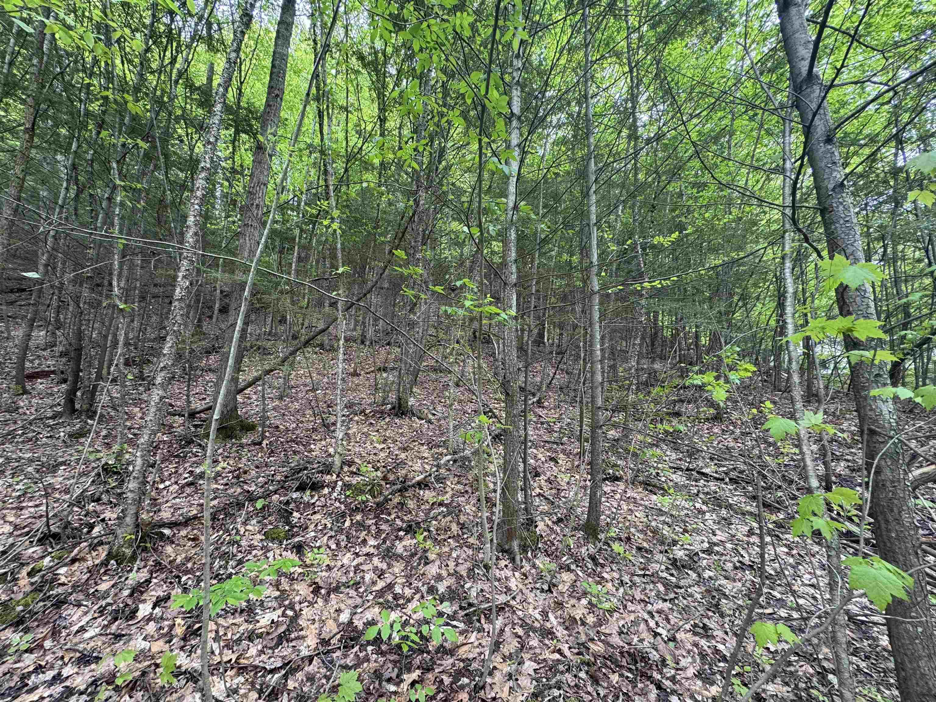 72 Northfield Street Lot 7