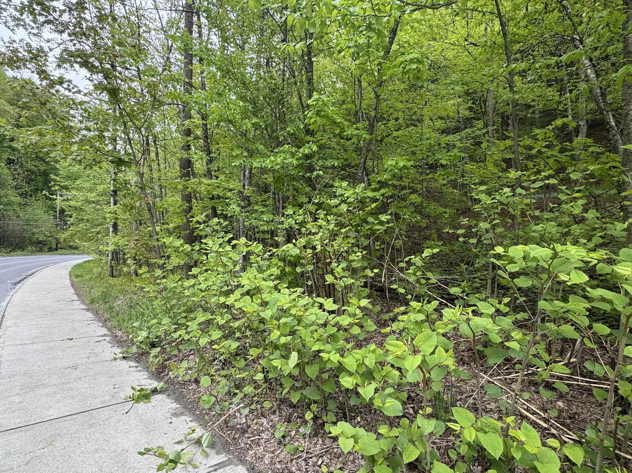 72 Northfield Street Lot 7