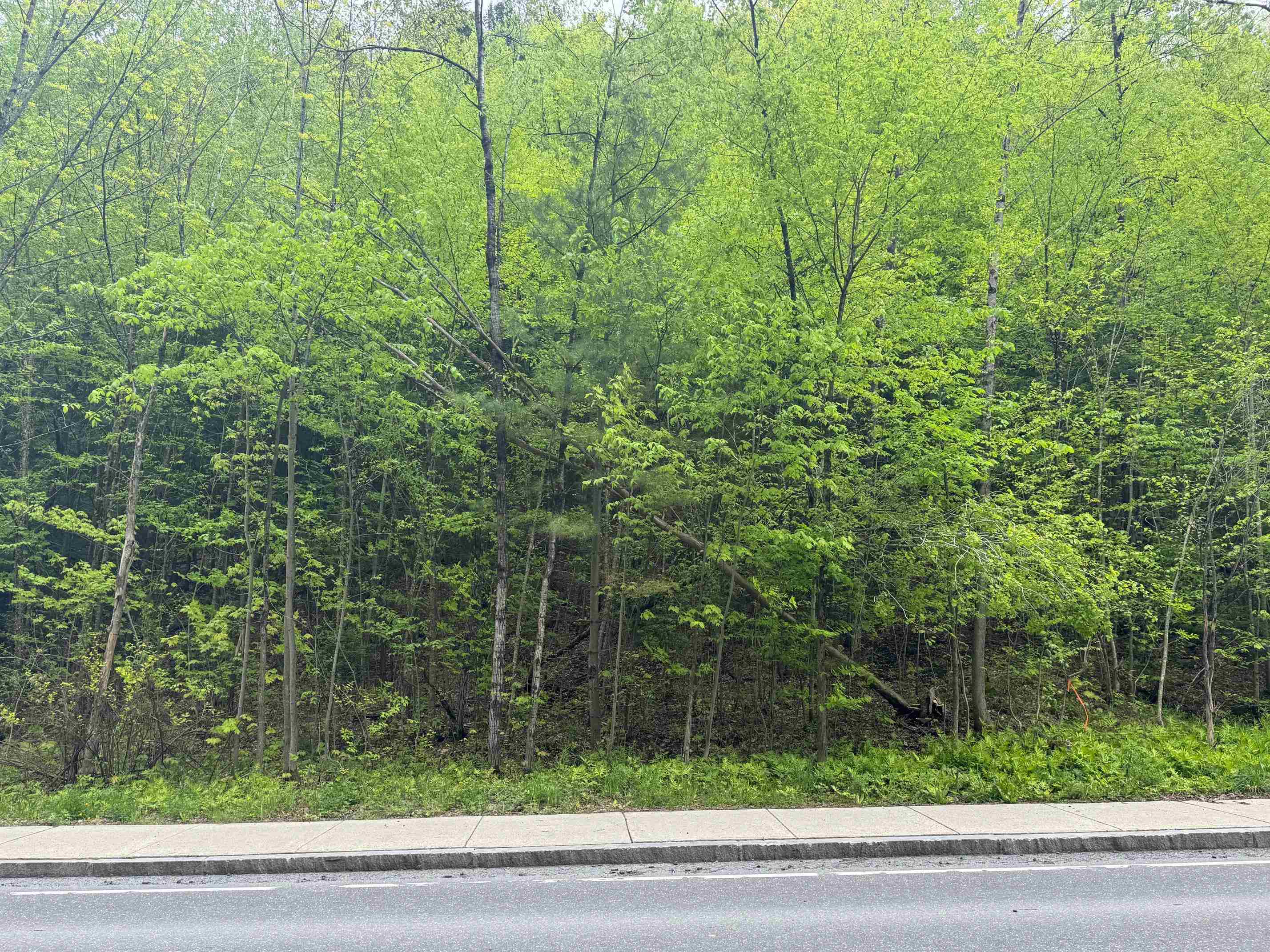 72 Northfield Street Lot 7