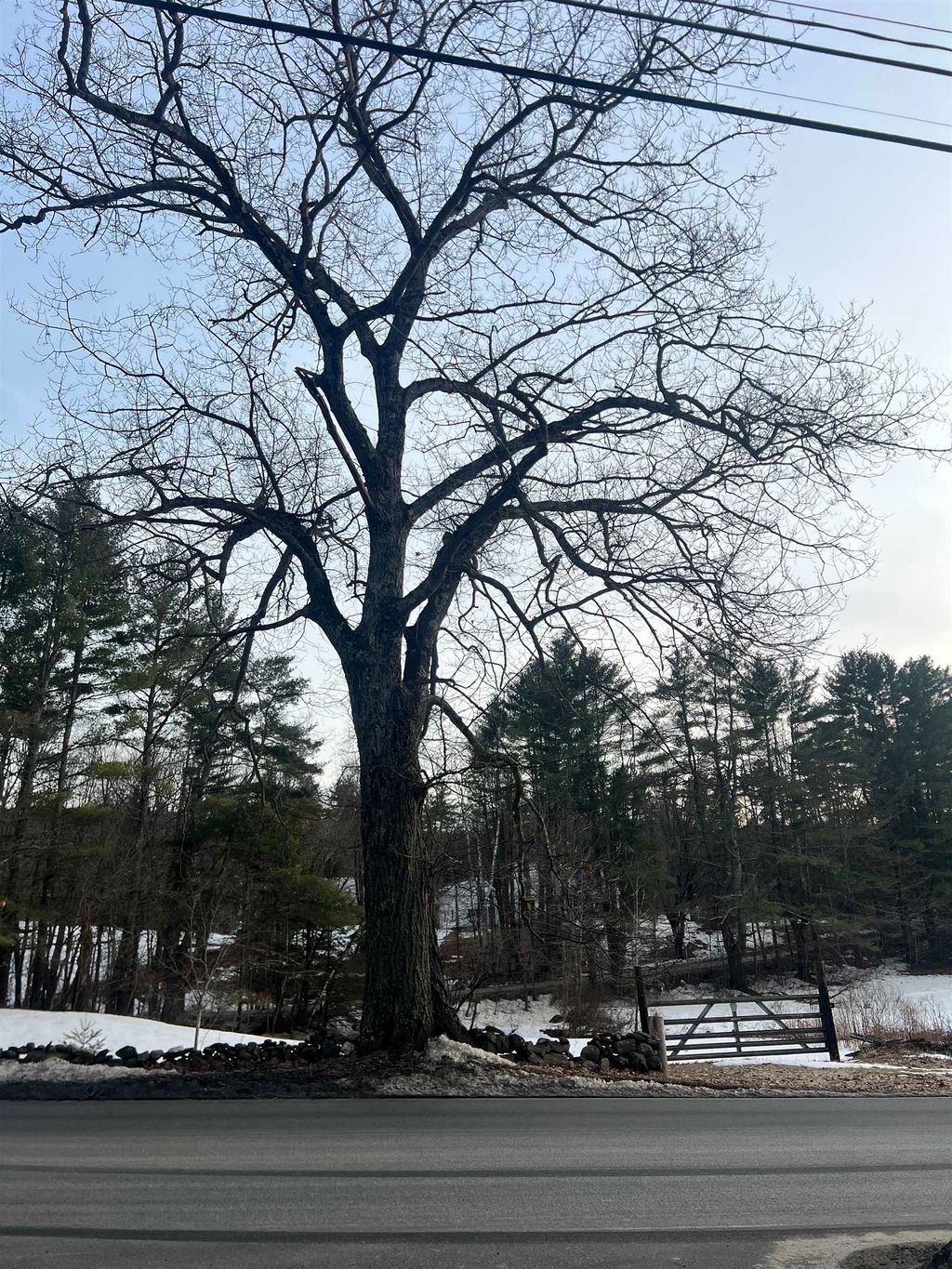 Photo of Acworth Road, Charlestown, NH 03603 (MLS # 5034745)