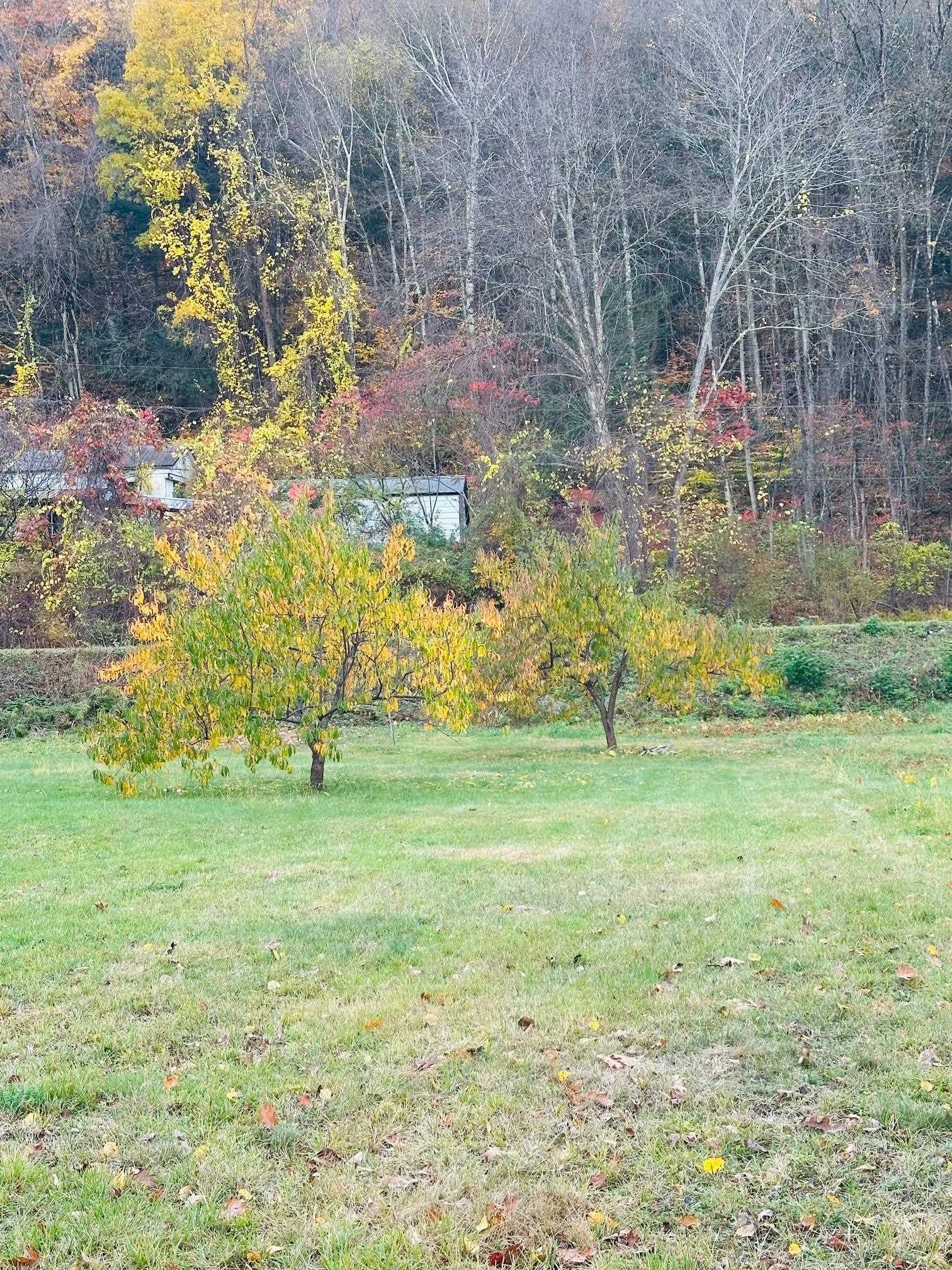 476 Missing Link Road