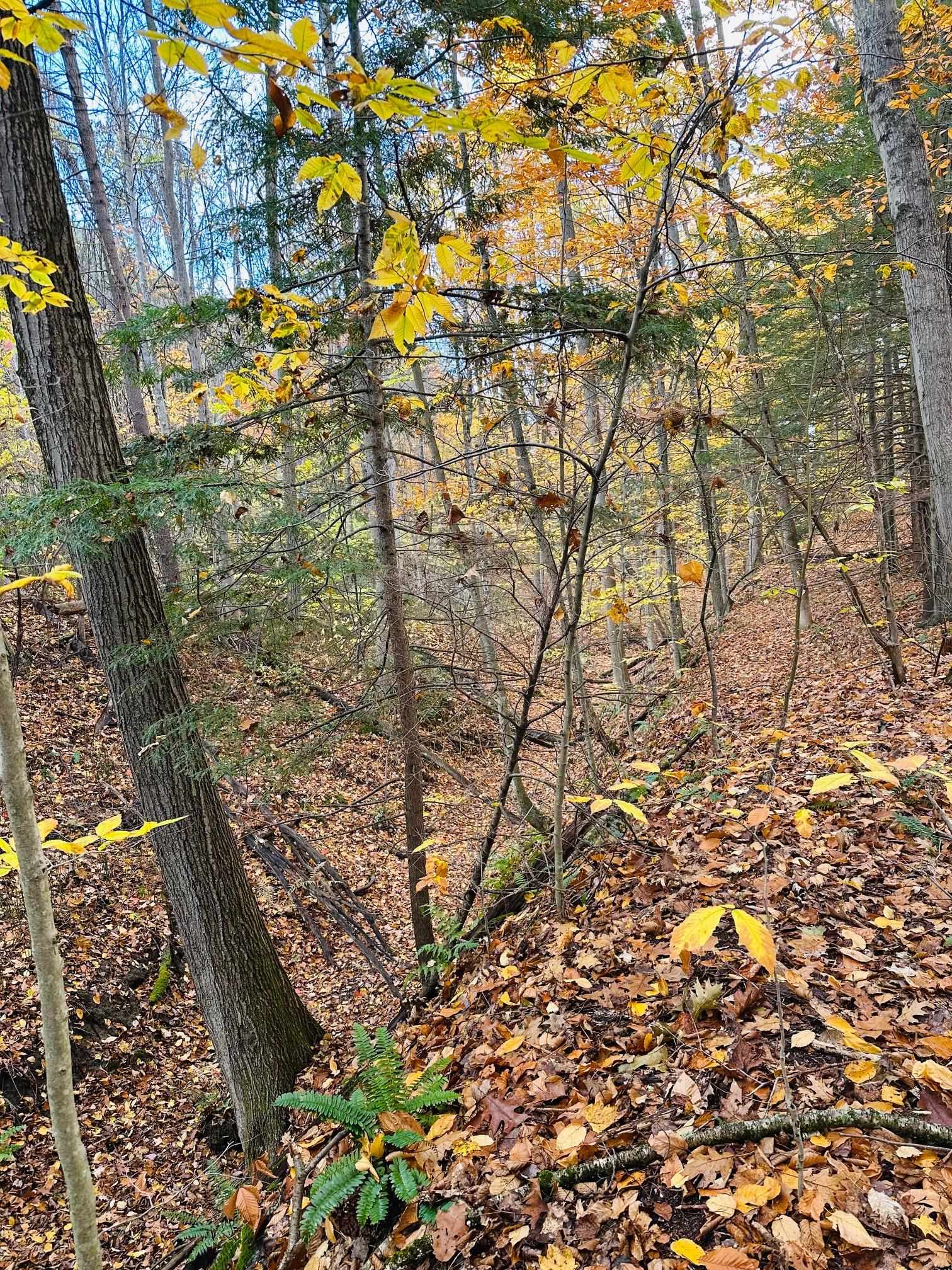 476 Missing Link Road