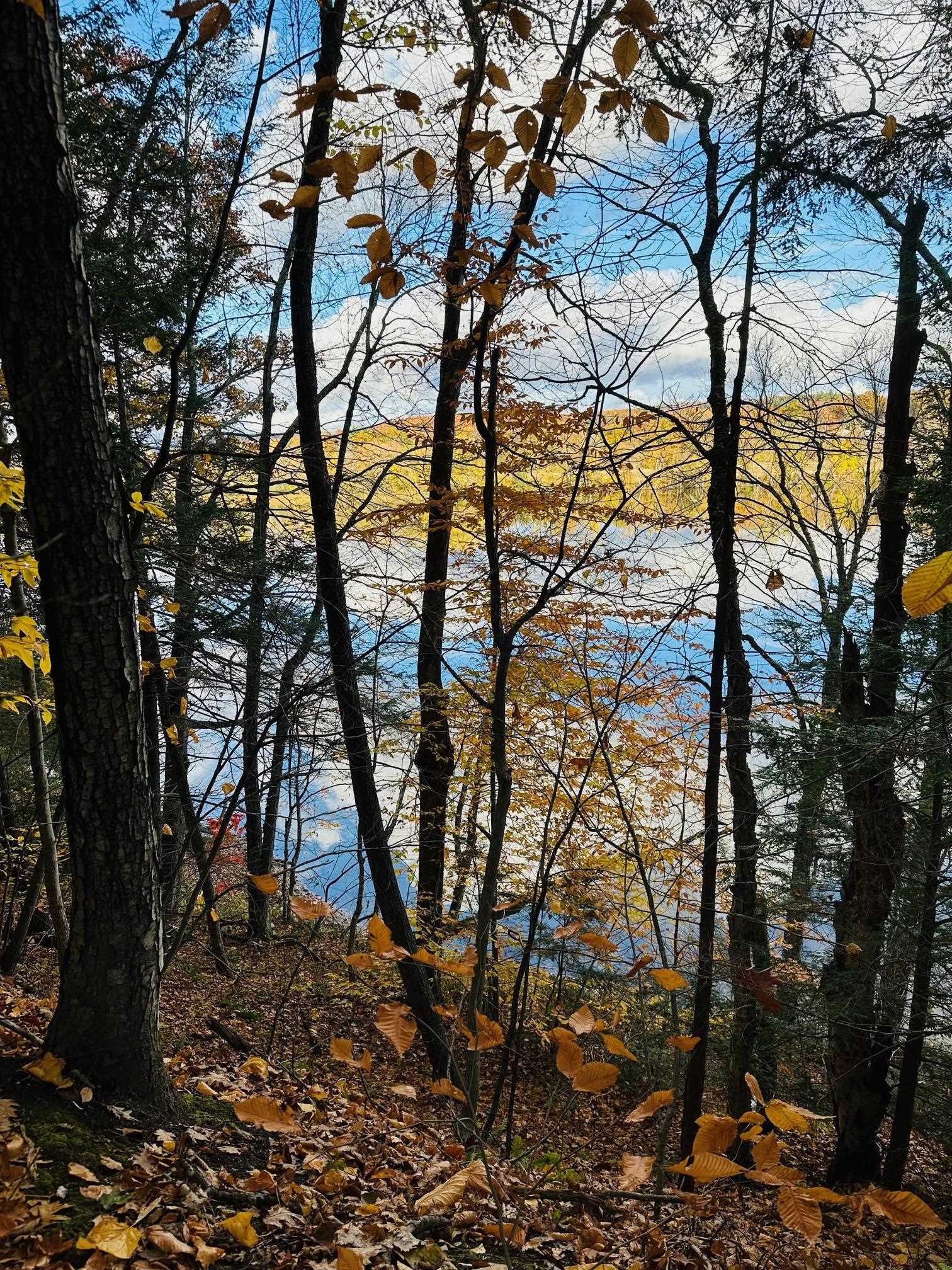 476 Missing Link Road