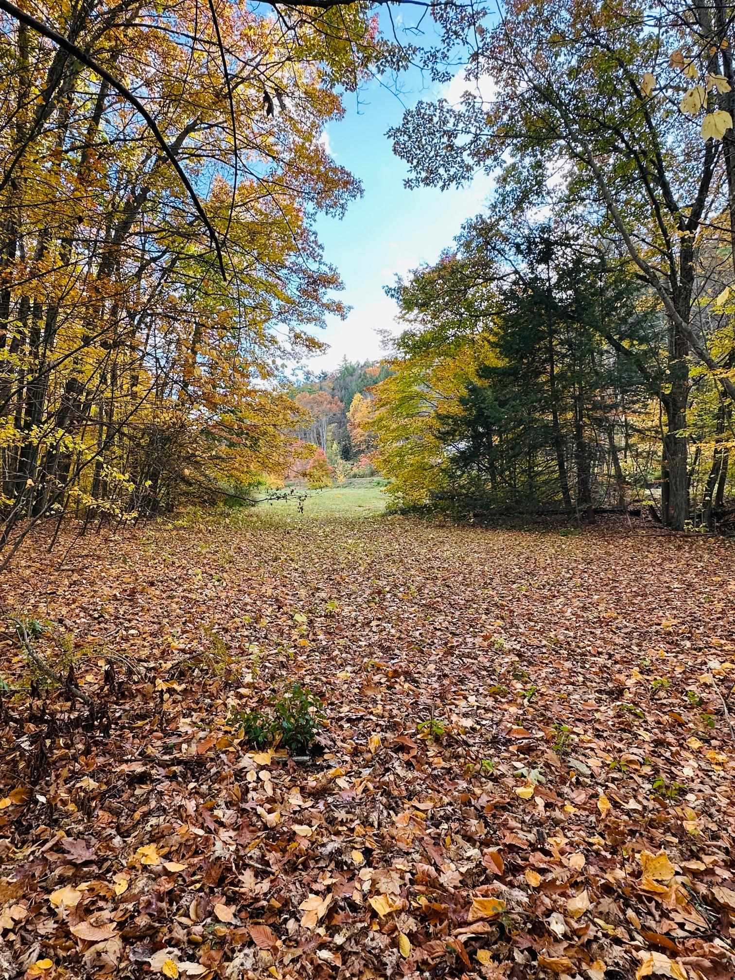 476 Missing Link Road