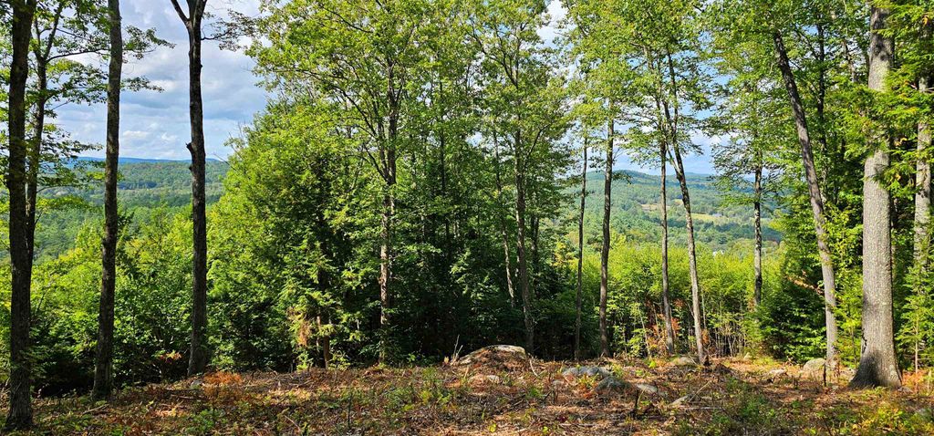 Photo of 7351 Patterson Hill Road, Henniker, NH 03242 (MLS # 5055113)