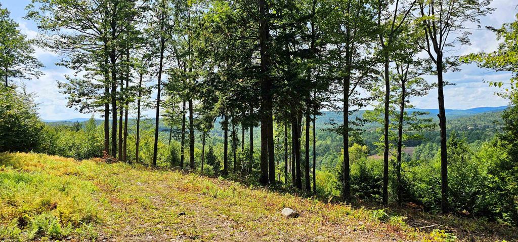 Photo of 7351 Patterson Hill Road, Henniker, NH 03242 (MLS # 5055113)