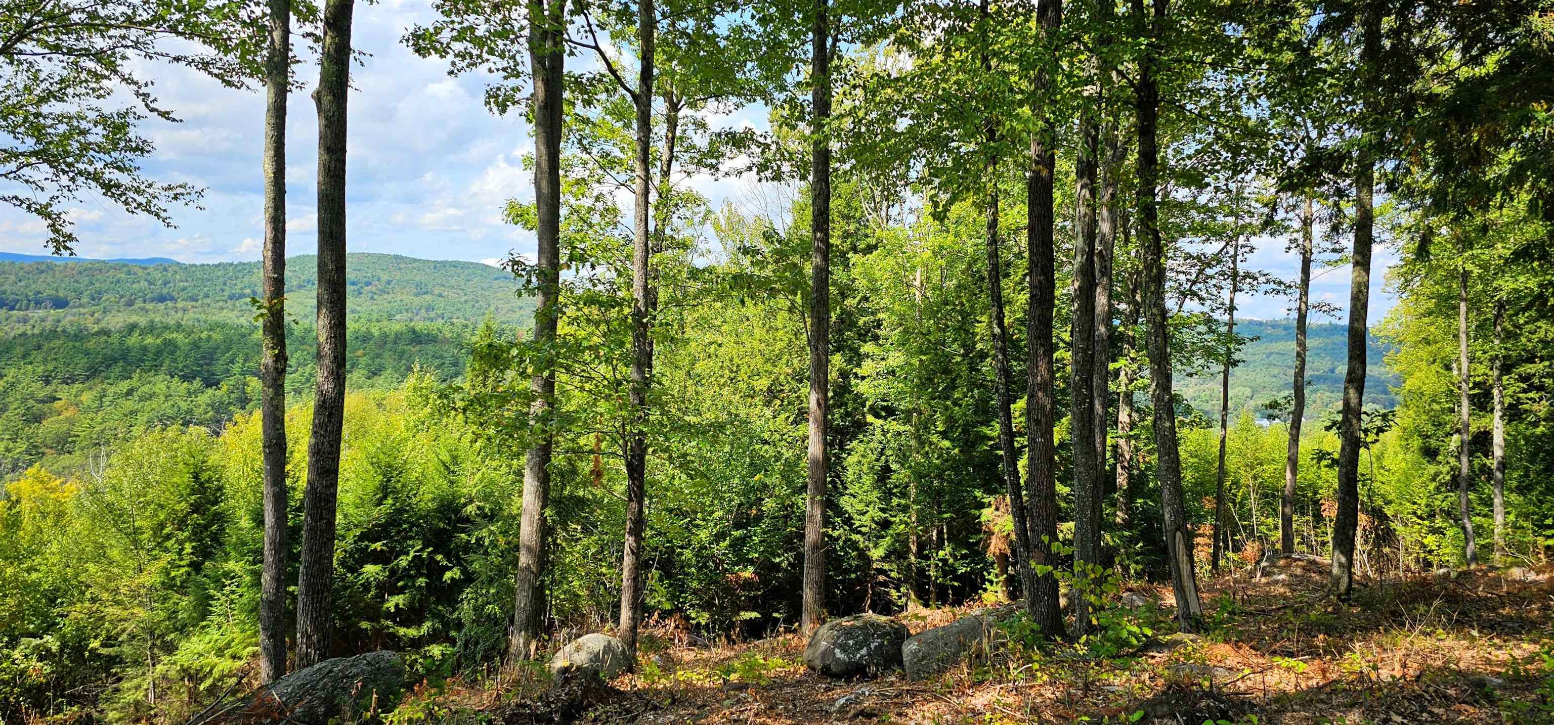 7-351-B Patterson Hill Road