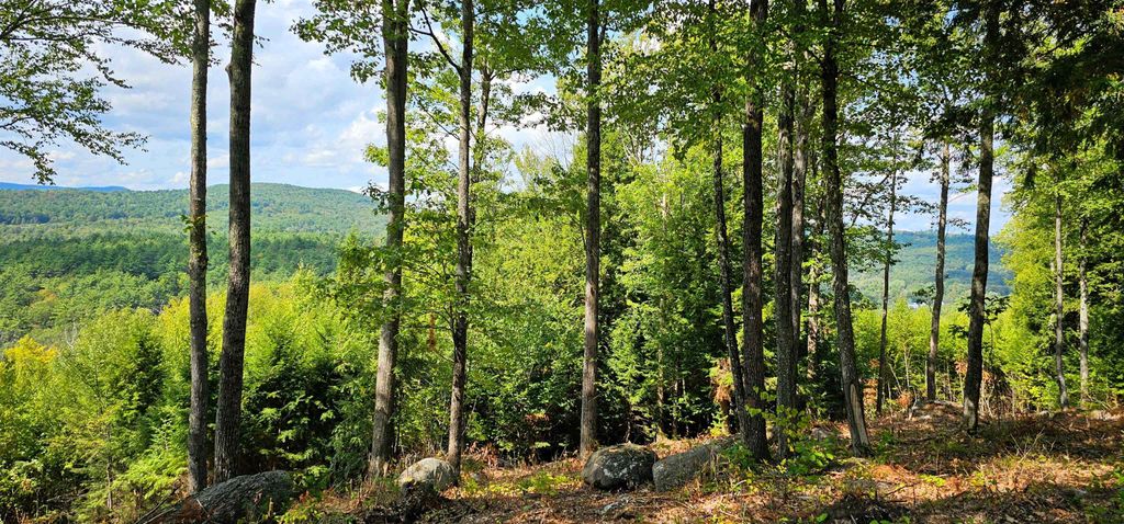 Photo of 7351 Patterson Hill Road, Henniker, NH 03242 (MLS # 5055113)