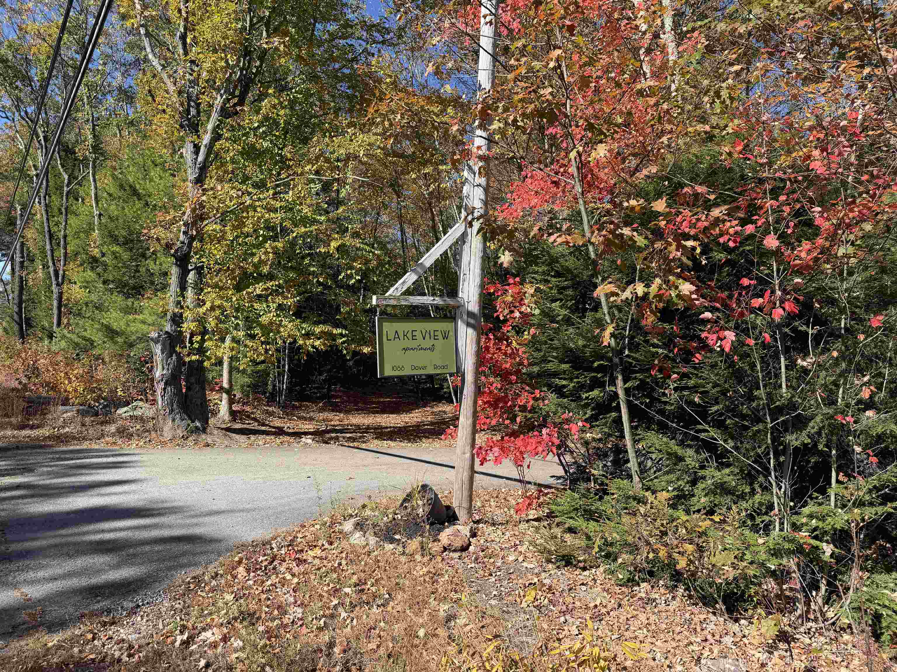 1088 Dover Road 302