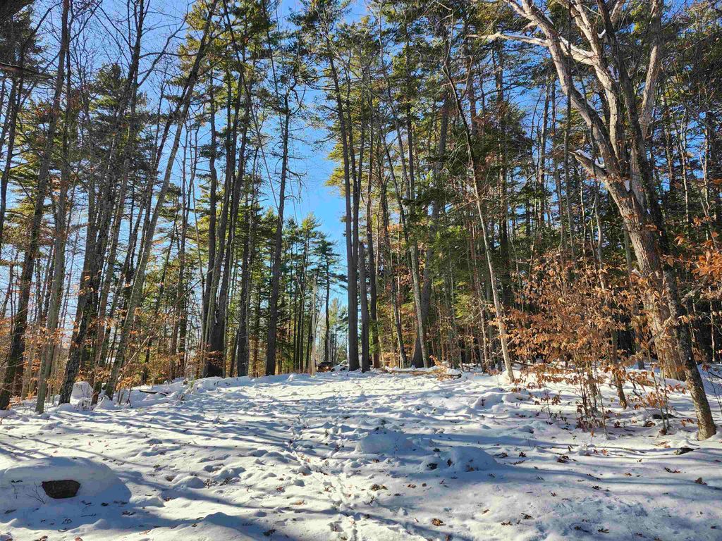 Photo of 21 Cummings Cove Road, Meredith, NH 03253 (MLS # 5071504)