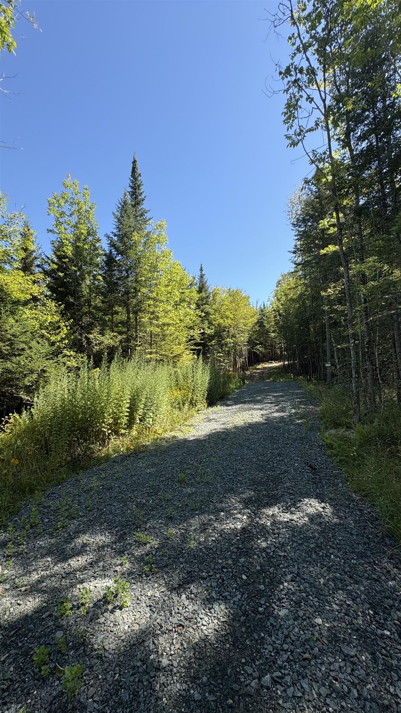 Old Franconia Road