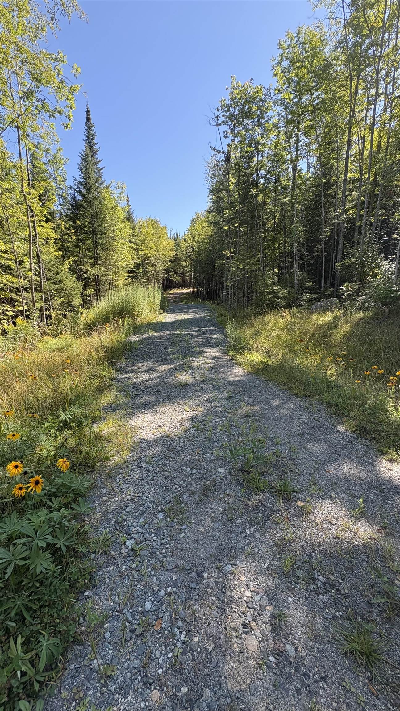 Old Franconia Road