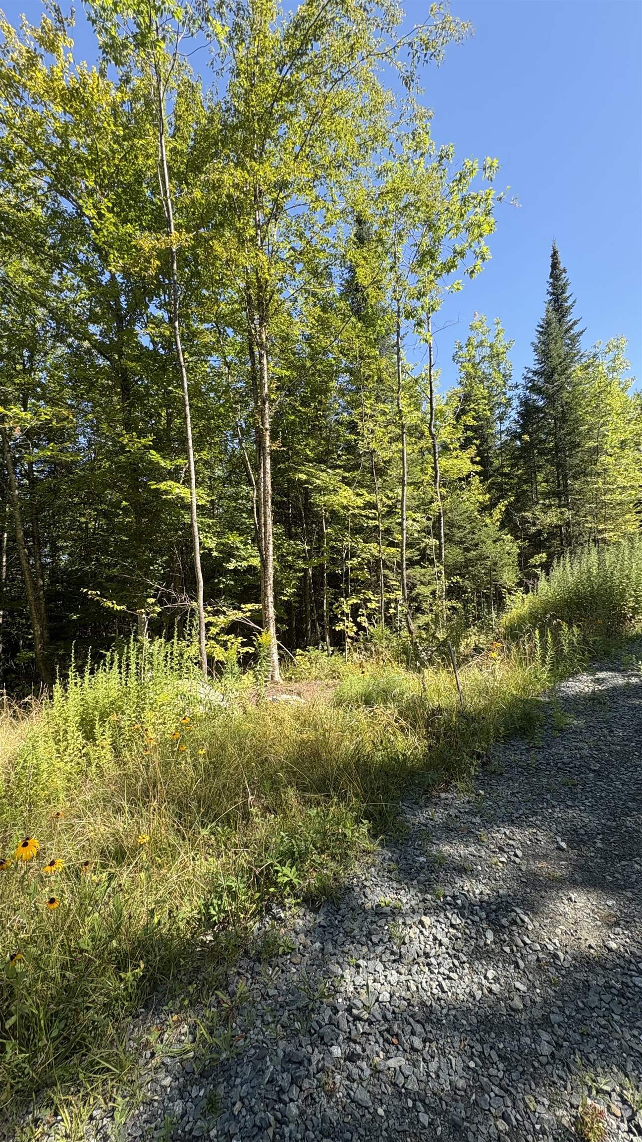 Old Franconia Road