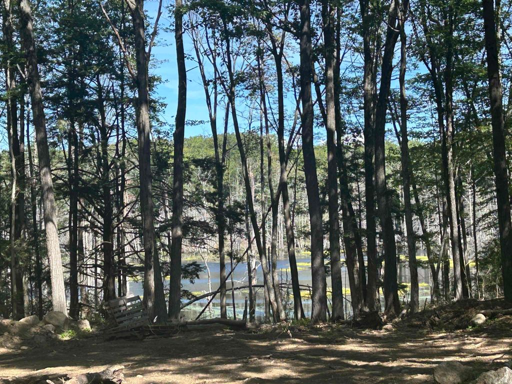 Photo of 77 Mackey Road, Troy, NH 03465 (MLS # 5060823)