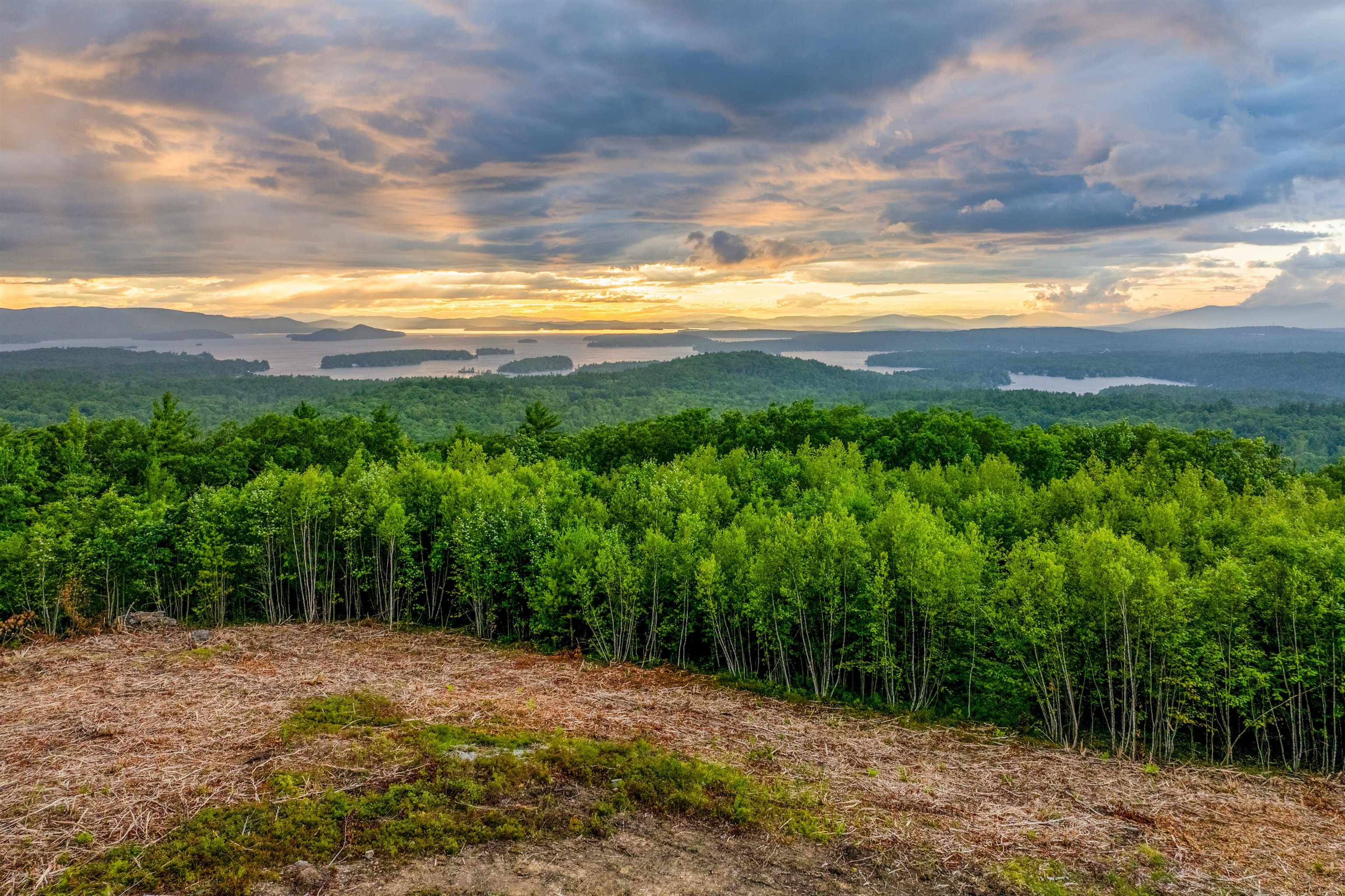 0 Long Stack Lane 41