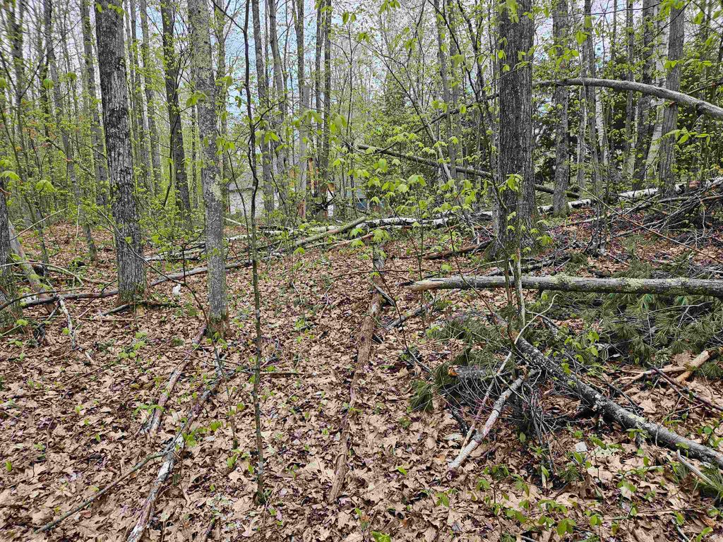 Photo of 124 Paulsen Circle, Haverhill, NH 03765 (MLS # 5062530)