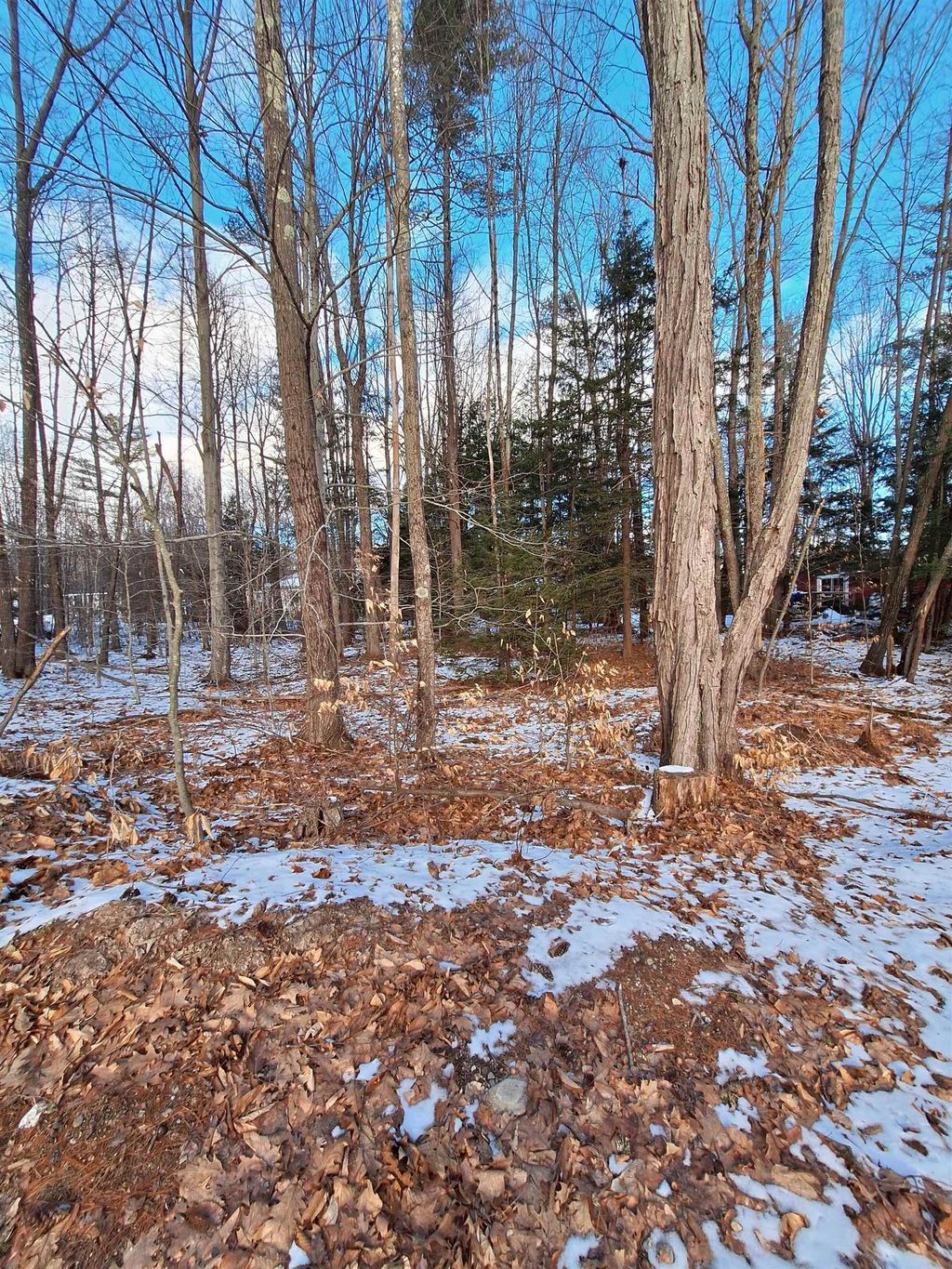 Photo of 18 Robin Shore Drive, Canterbury, NH 03224 (MLS # 5027044)