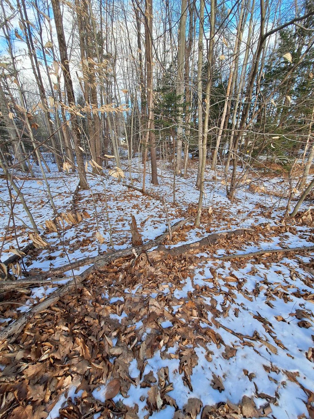 Photo of 18 Robin Shore Drive, Canterbury, NH 03224 (MLS # 5027044)