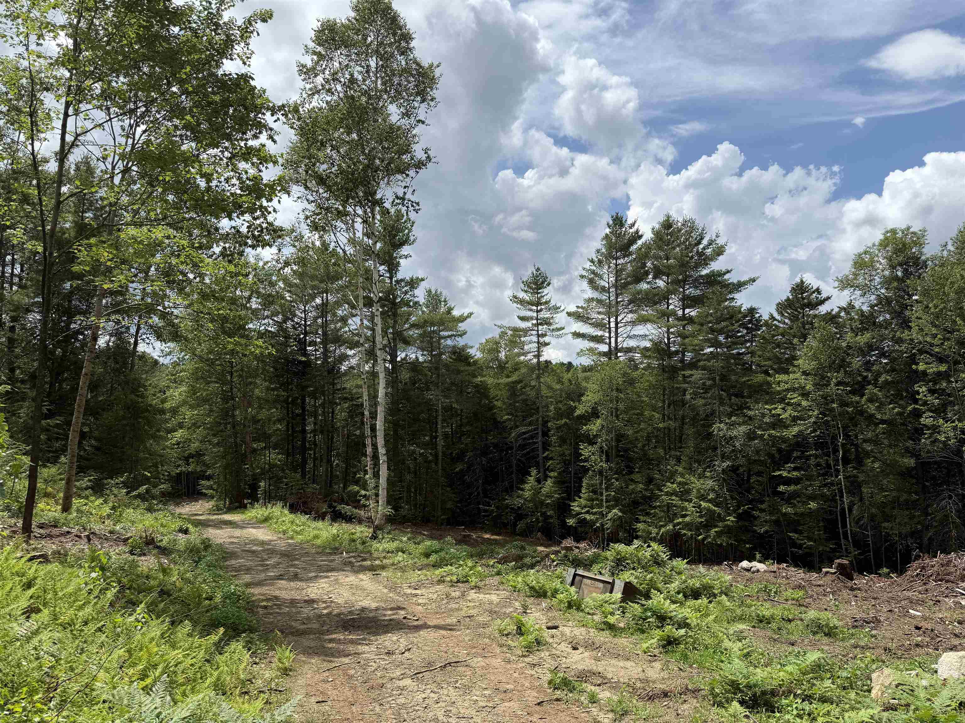 Highland Avenue Lots 1 and 2