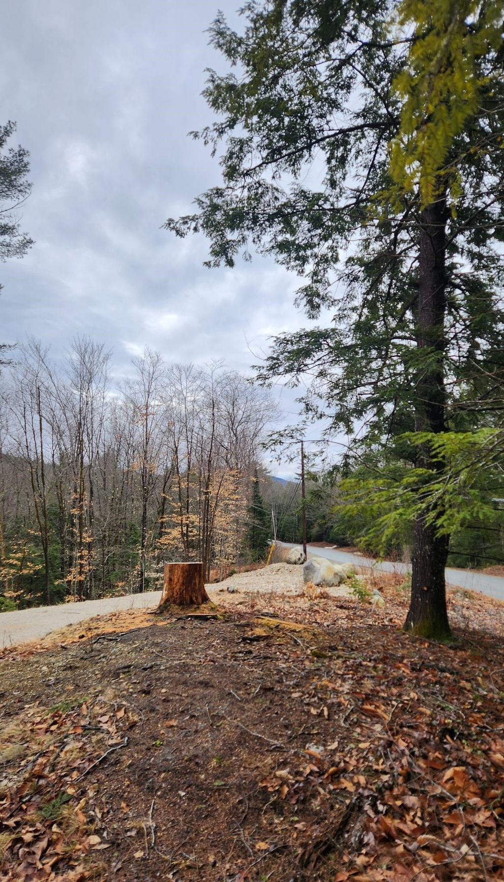 Photo of Moulton Road, Freedom, NH 03836 (MLS # 5074643)